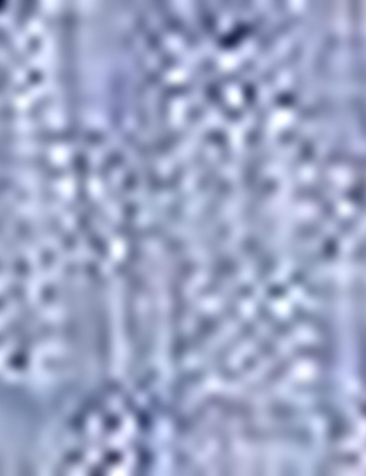 Turkuaz Regular Fit Kısa Kollu Gömlek - 50187513007