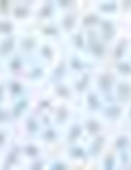 Açık Mavi Regular Fit Kısa Kollu Gömlek - 50187530006