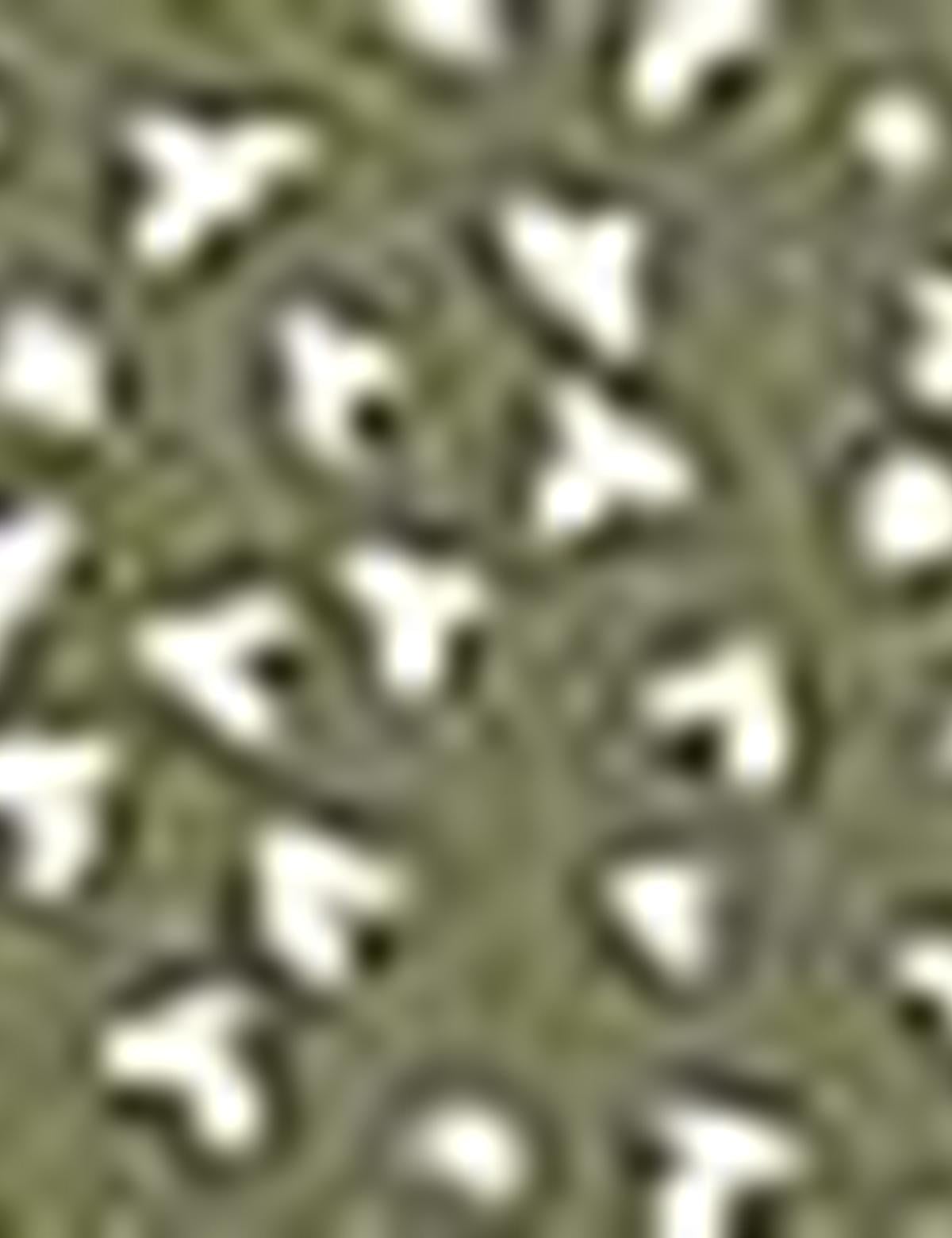 Yeşil Slim Fit Uzun Kollu Gömlek - 50187575010