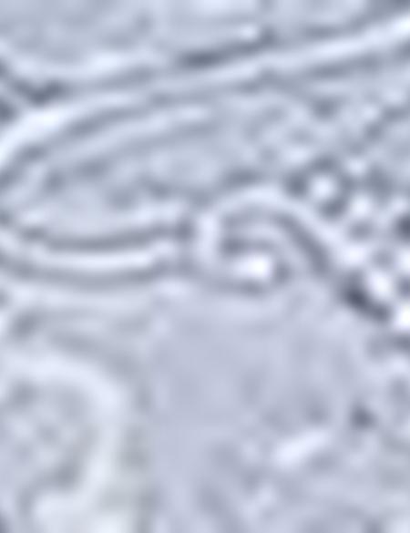 Slim Mavi Gömlek - 50187963003