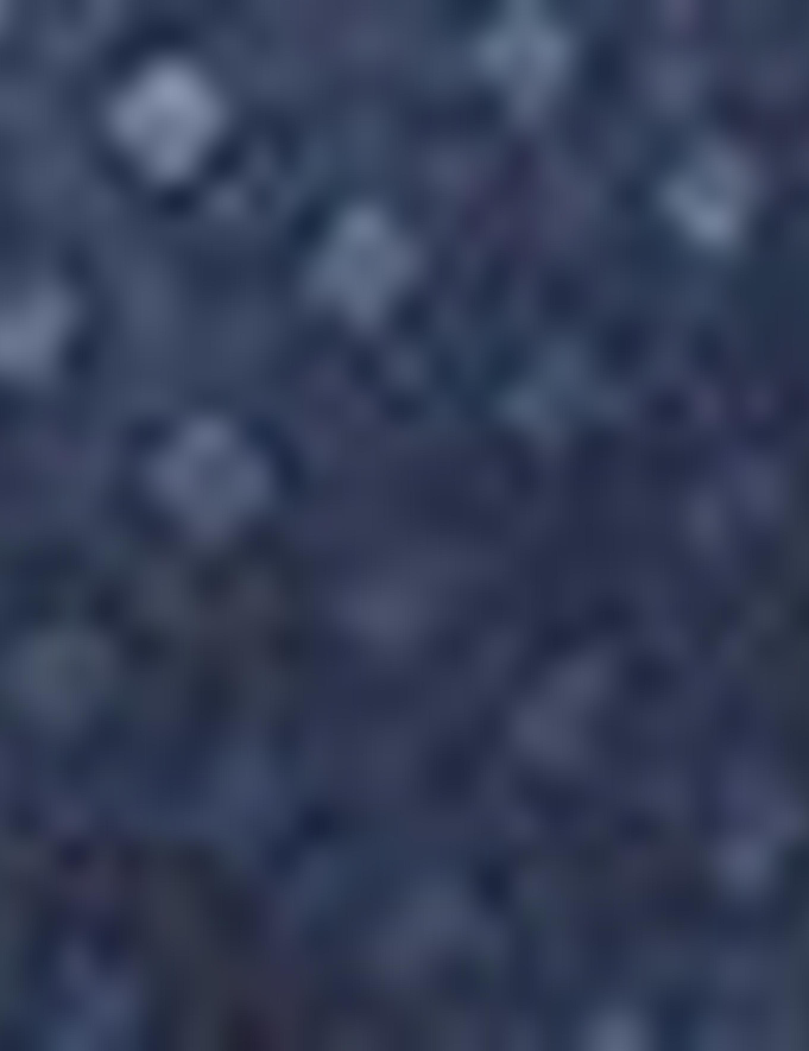 Lacivert Slim Fit Gömlek