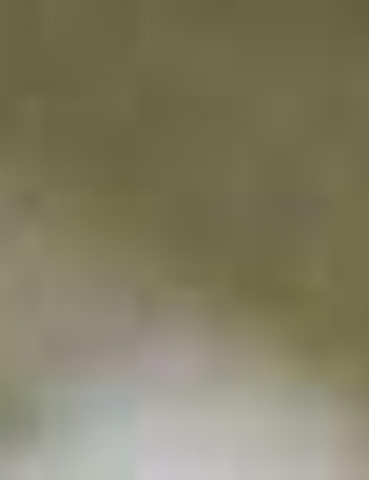 Yeşil Slim Fit Kısa Kollu Gömlek - 50189059019