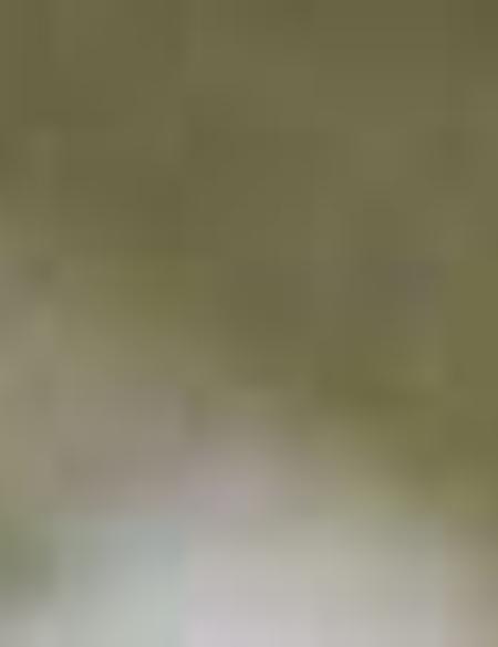 Yeşil Slim Fit Kısa Kollu Gömlek - 50189059019