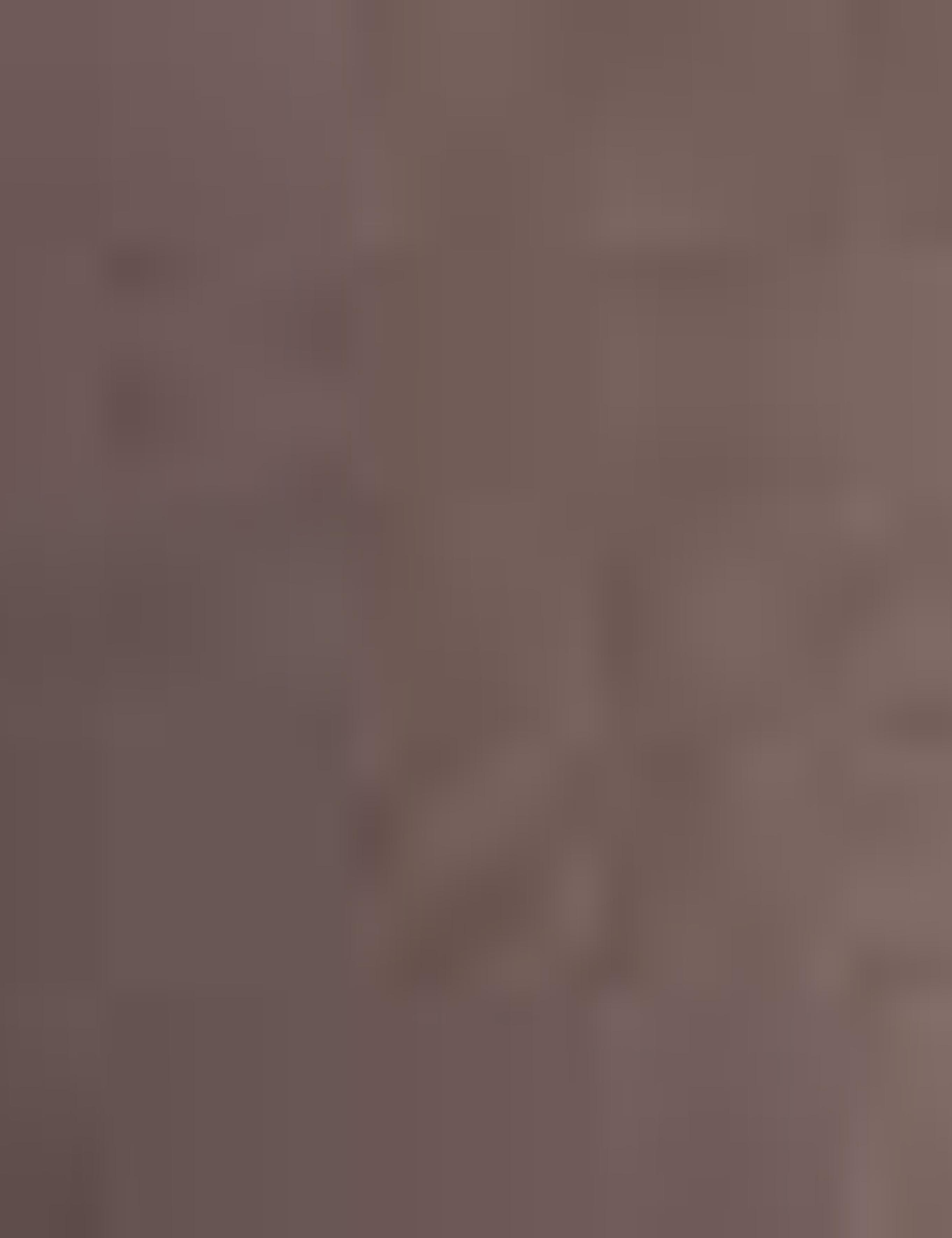 Bordo Klasik Ayakkabı