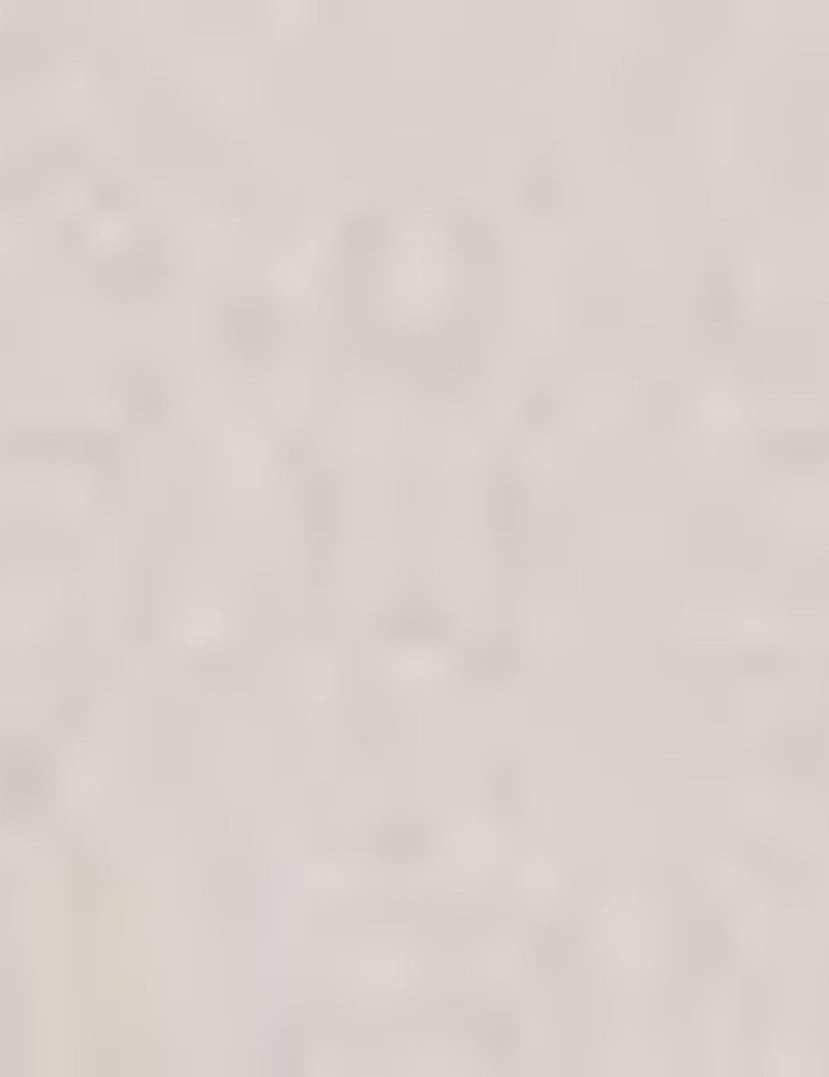 Taş Slim Fit Chino Pantolon - 50189165038