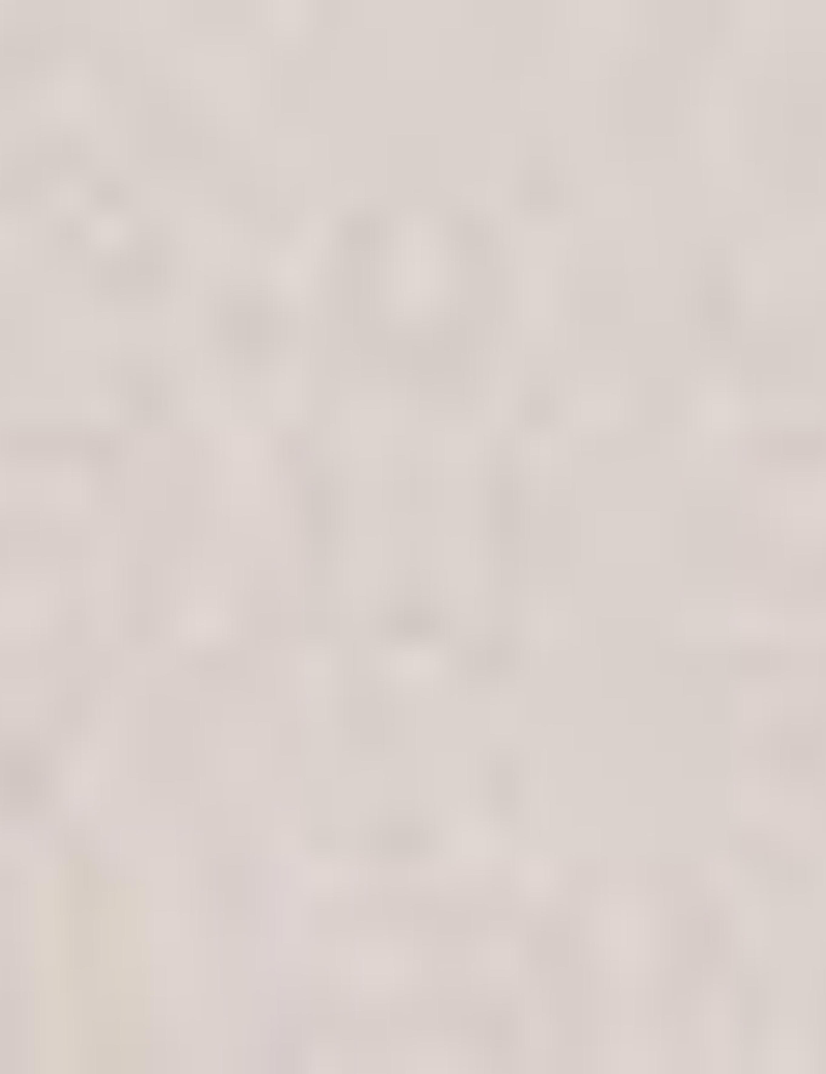 Taş Slim Fit Chino Pantolon