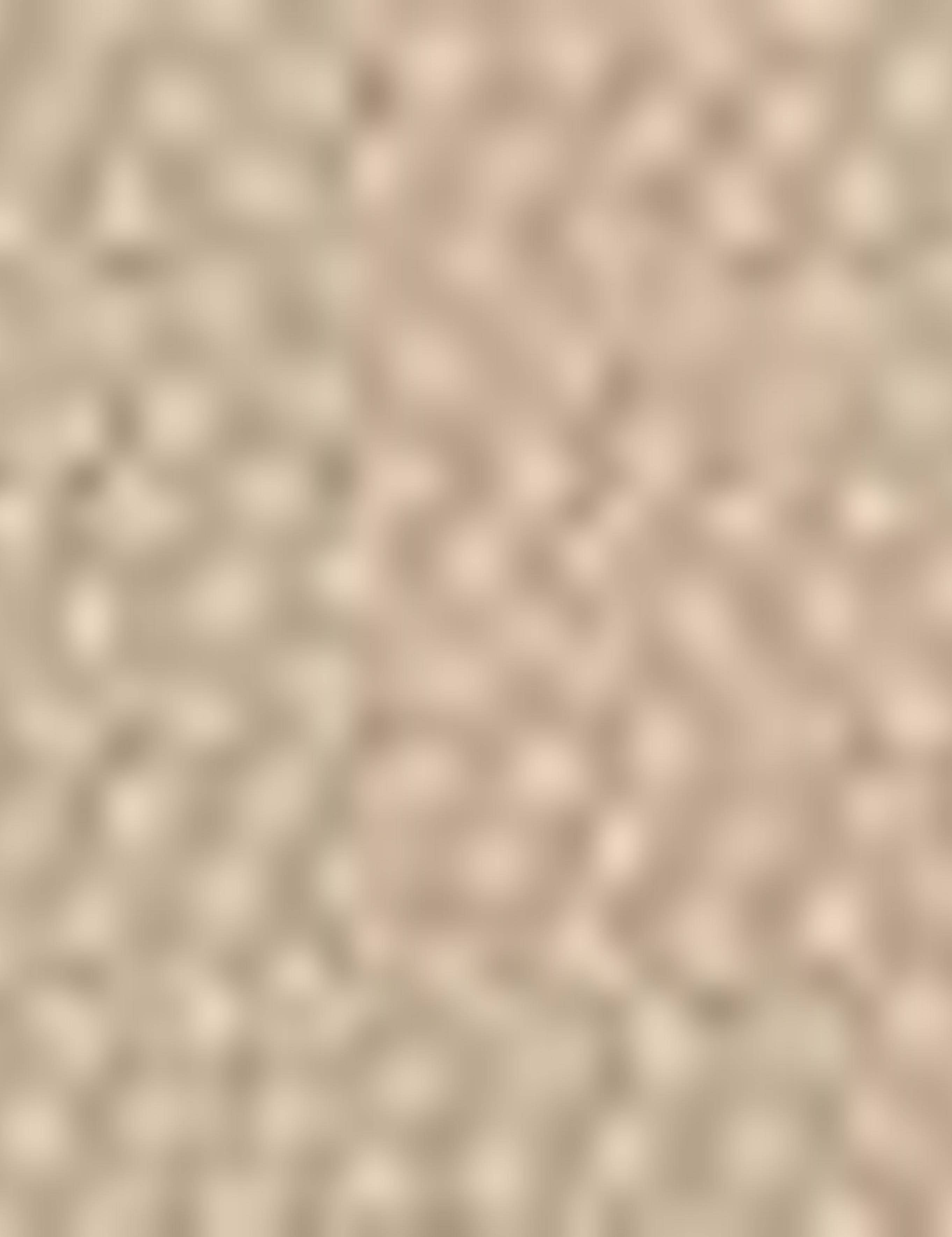 Camel Slim Fit Chino Pantolon