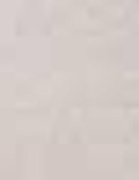 Taş Slim Fit Kanvas Pantolon - 50189174021