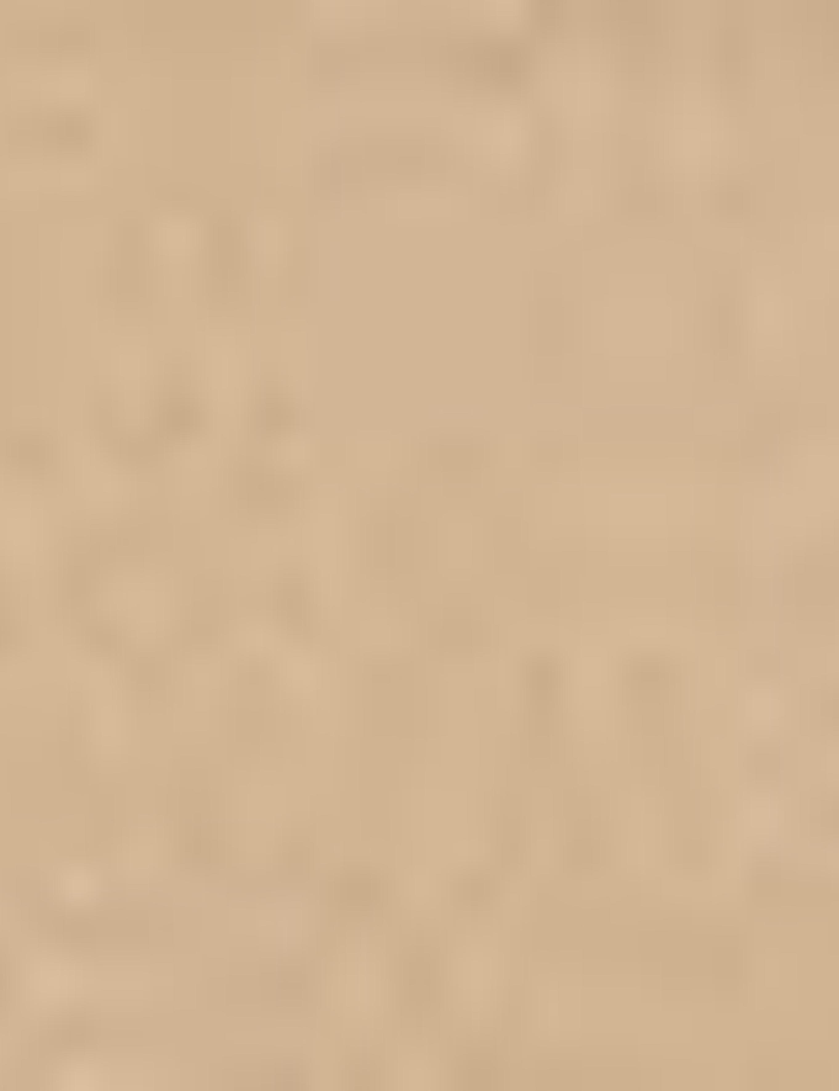 Camel Slim Fit Chino Pantolon