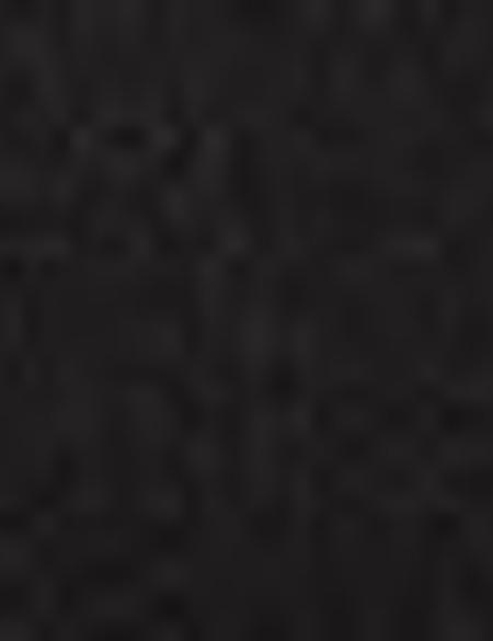 Siyah Mont - 50189398013