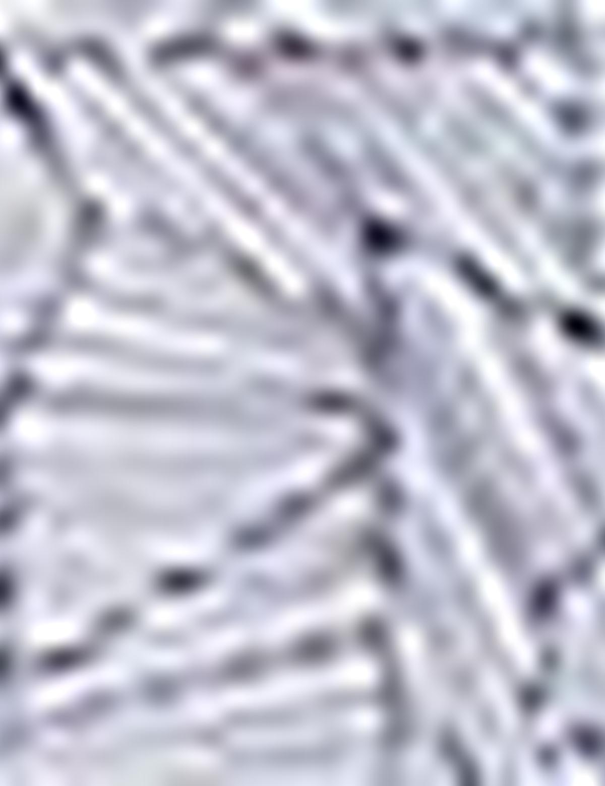 Lacivert Slim Fit Uzun Kollu Gömlek - 50189485015