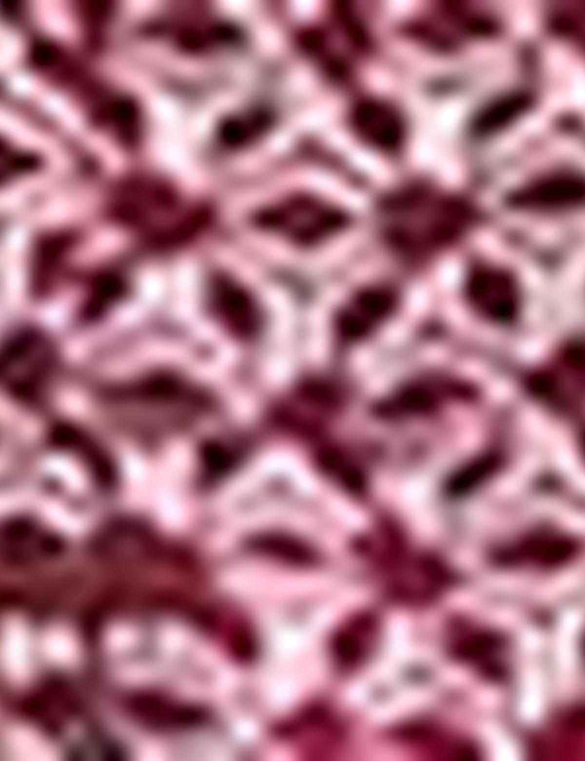 Kırmızı Regular Fit Polo Yaka Tişört - 50189491001