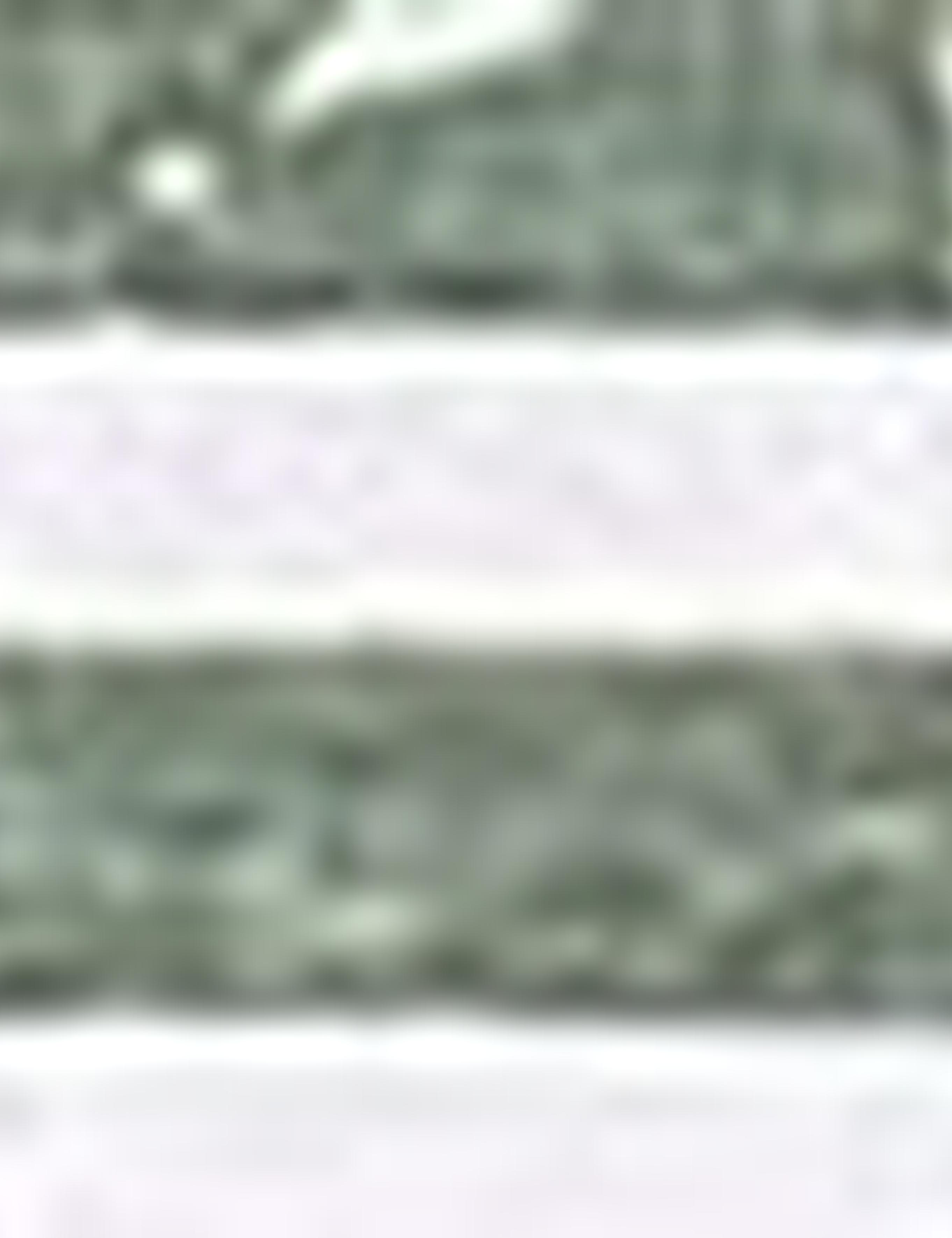 Yeşil Slim Fit Bisiklet Yaka T-Shirt