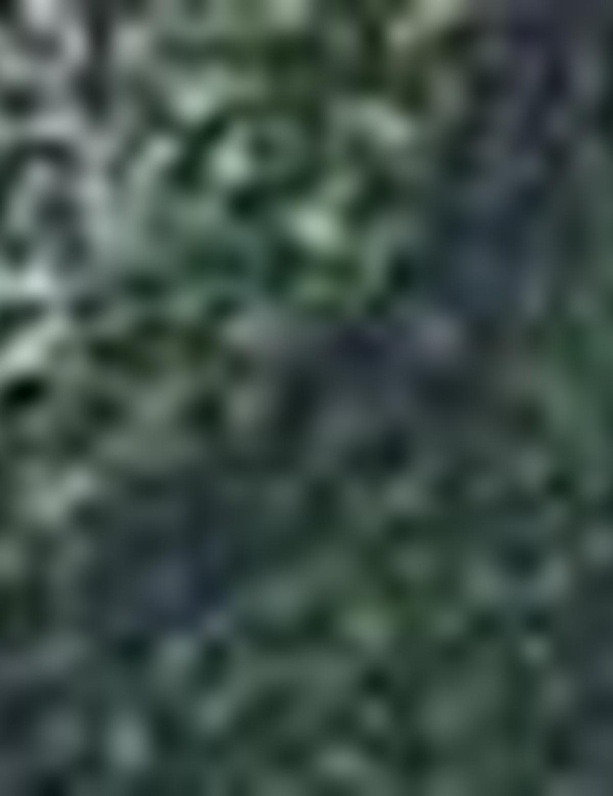 Yeşil Tişört - 50189507014