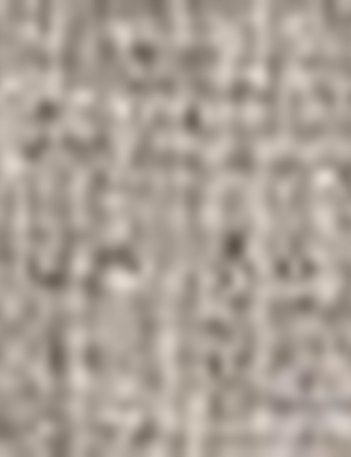 Yeşil Ceket - 50189733044