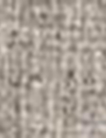 Yeşil Ceket - 50189733044