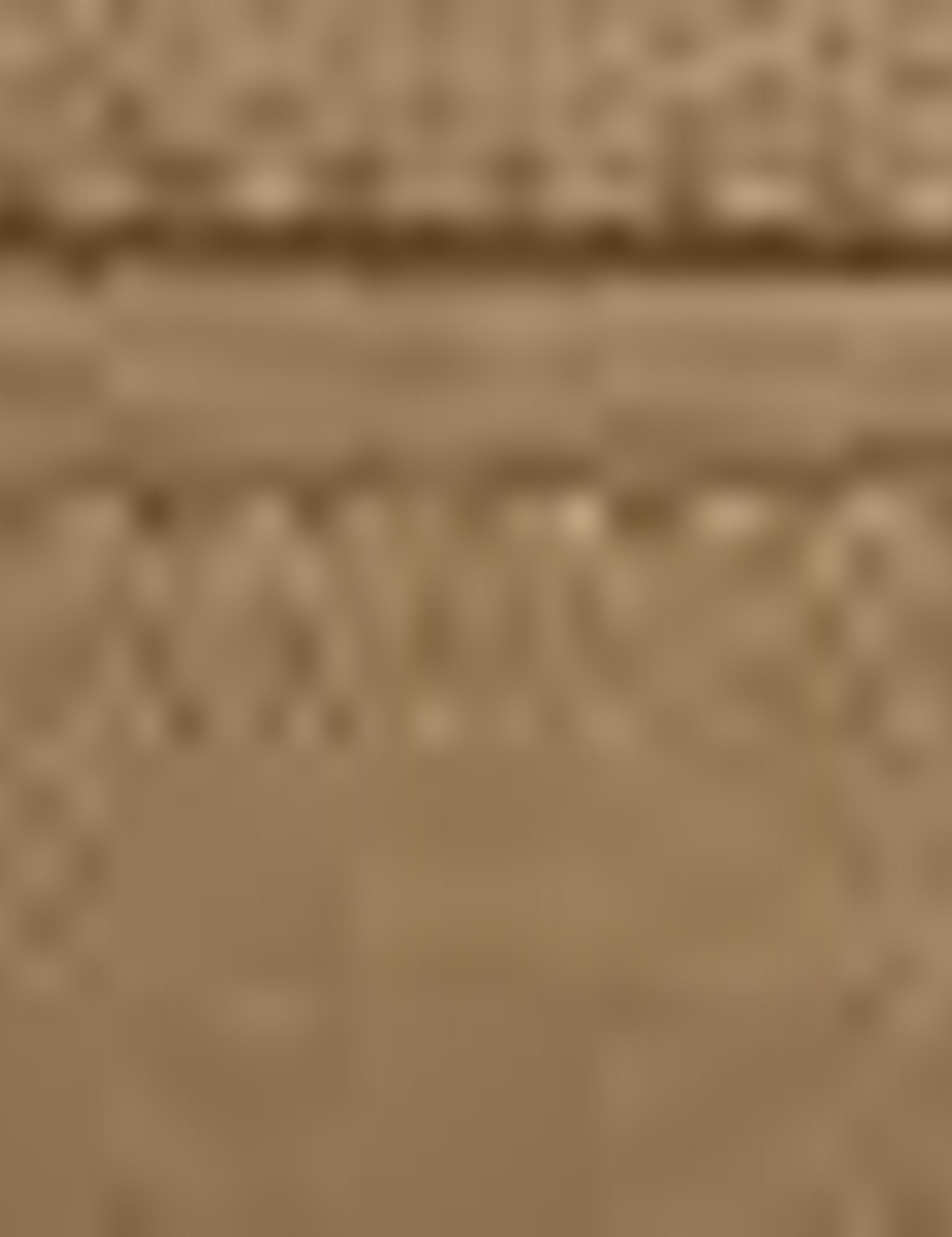 Vizon Slim Fit Chino Pantolon