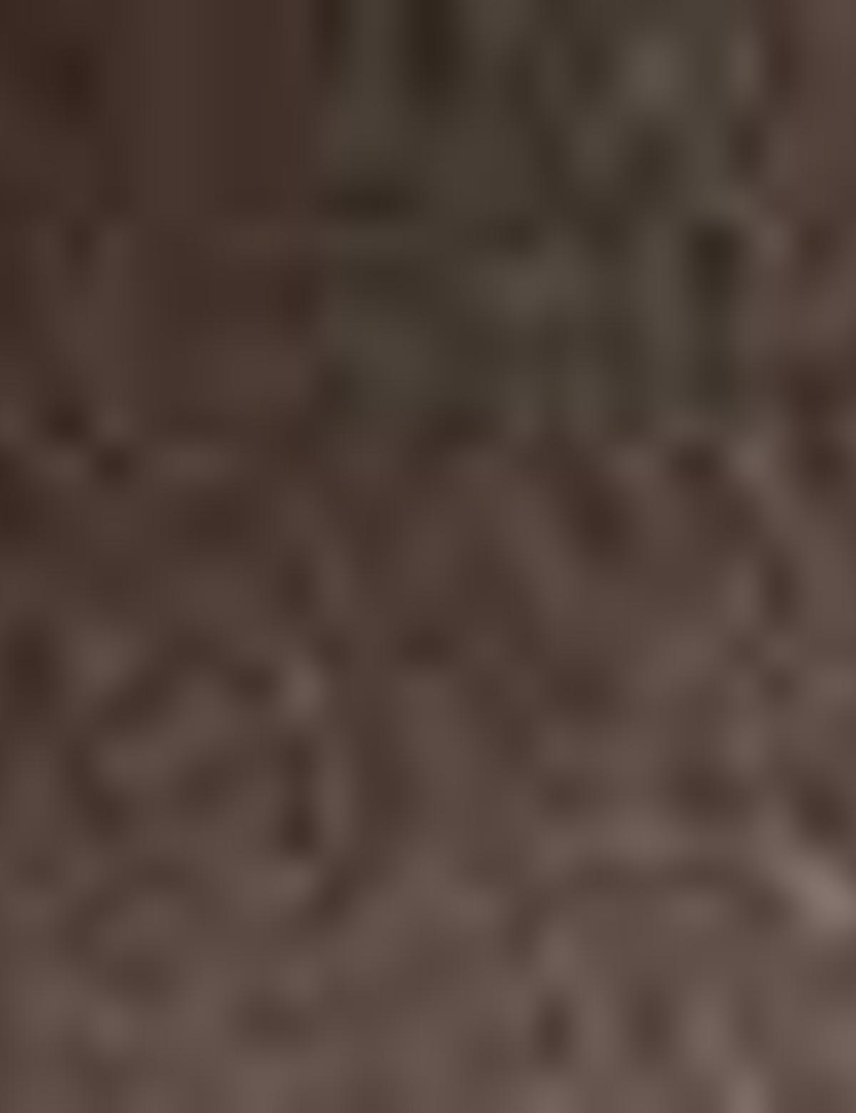 Kahverengi Klasik Ayakkabı - 50189887015