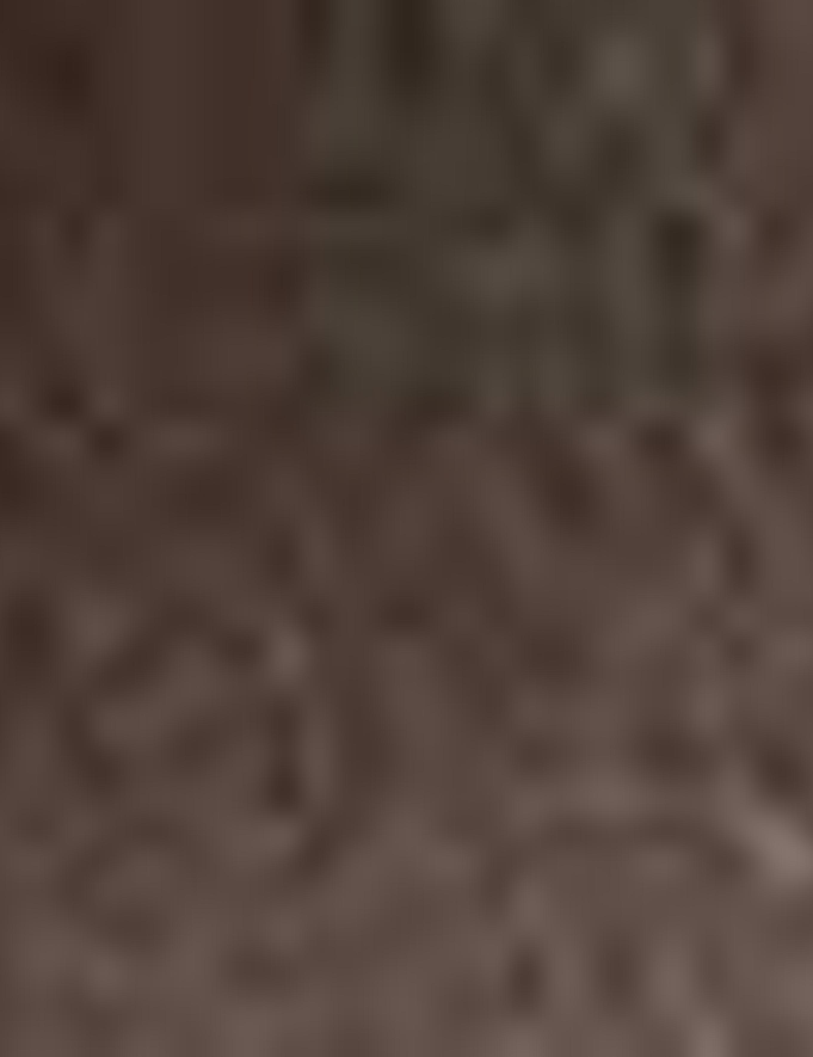 Kahverengi Klasik Ayakkabı