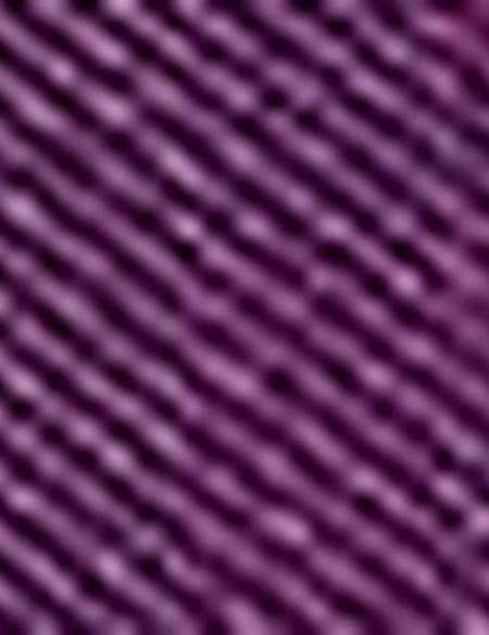 Eşarp Şal - 50190822001