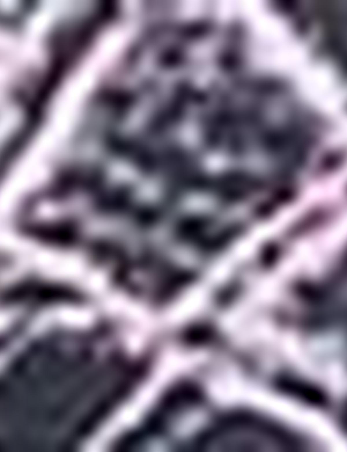 Eşarp Şal - 50191490001