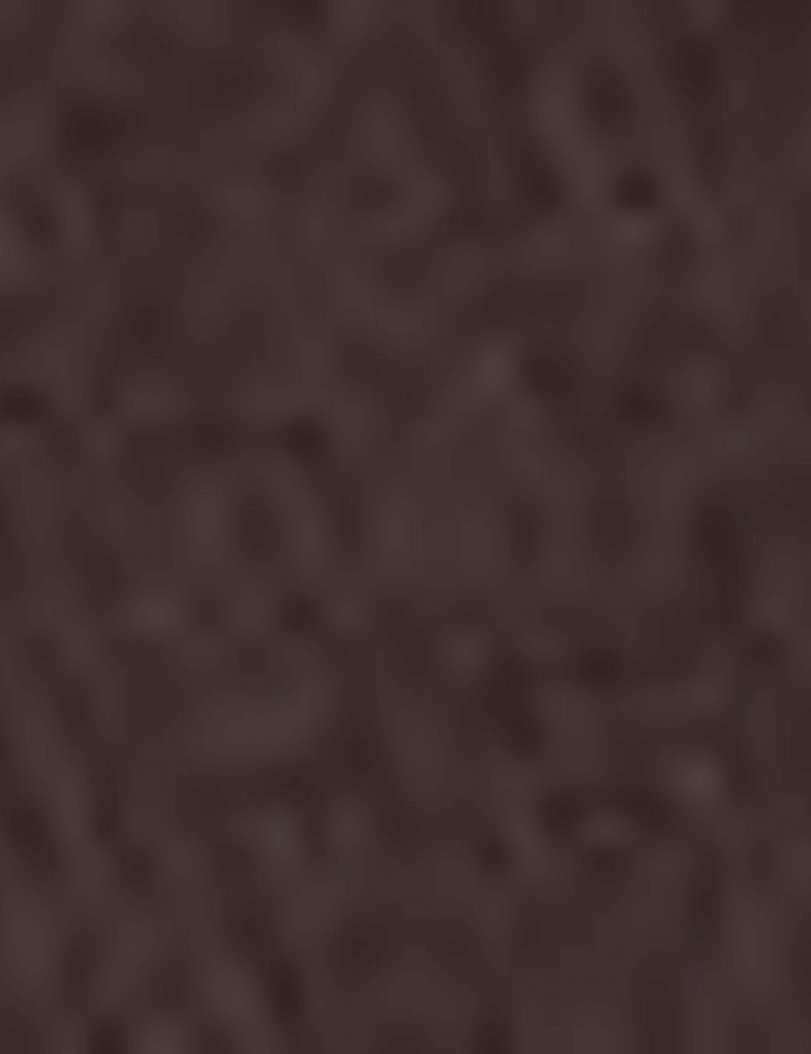 Kahverengi Triko Kazak