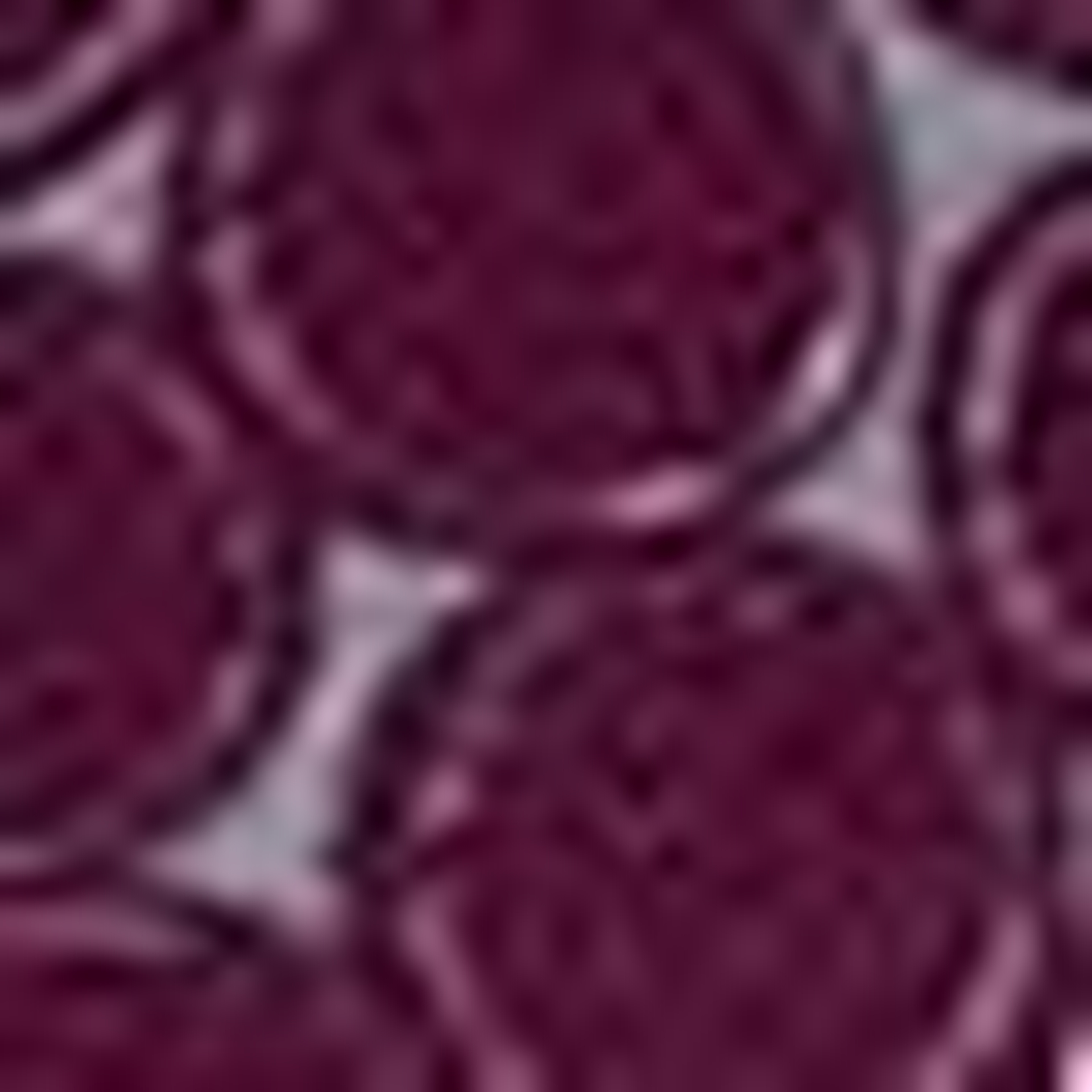 Bordo Slim Fit Gömlek - Image 6