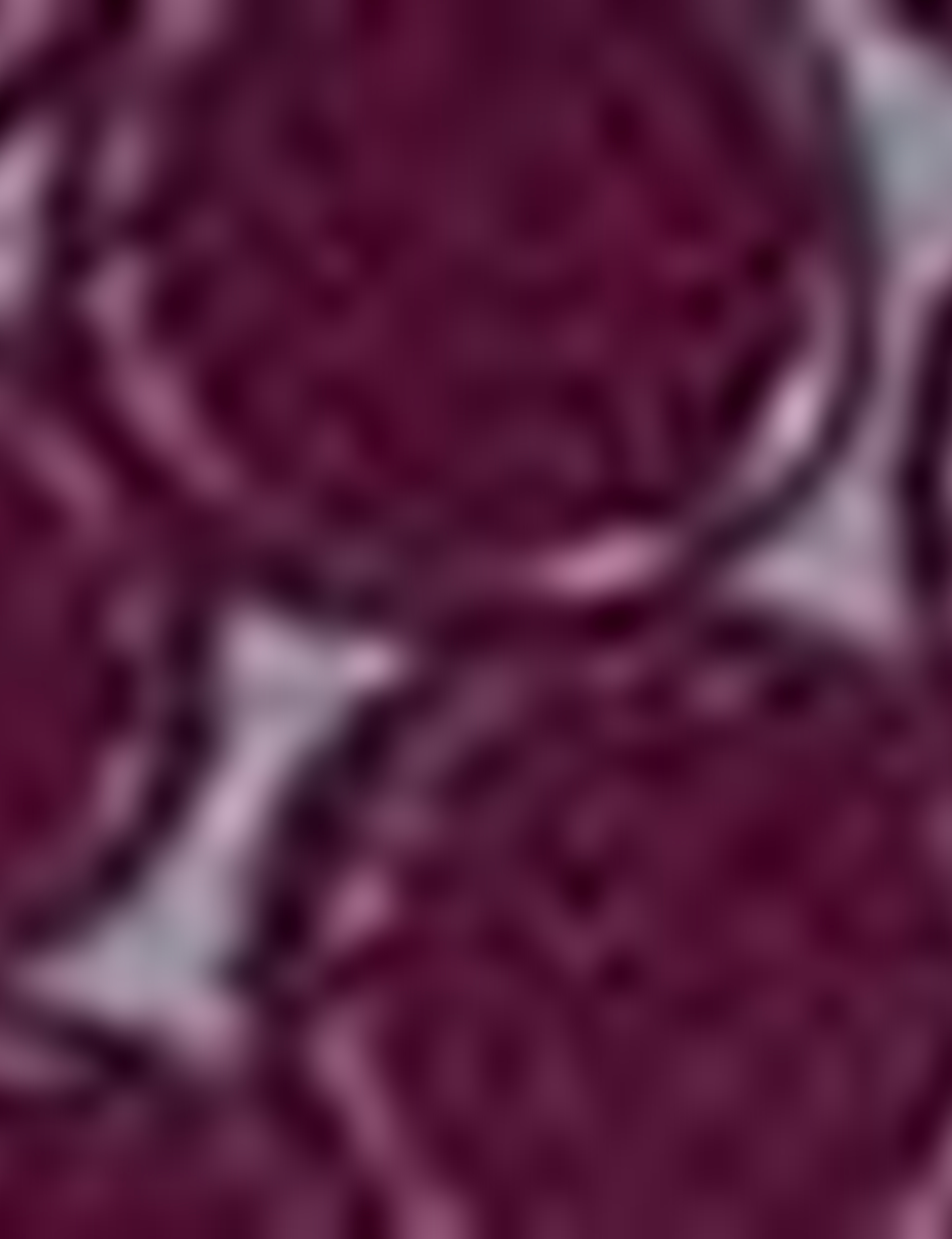 Bordo Slim Fit Gömlek