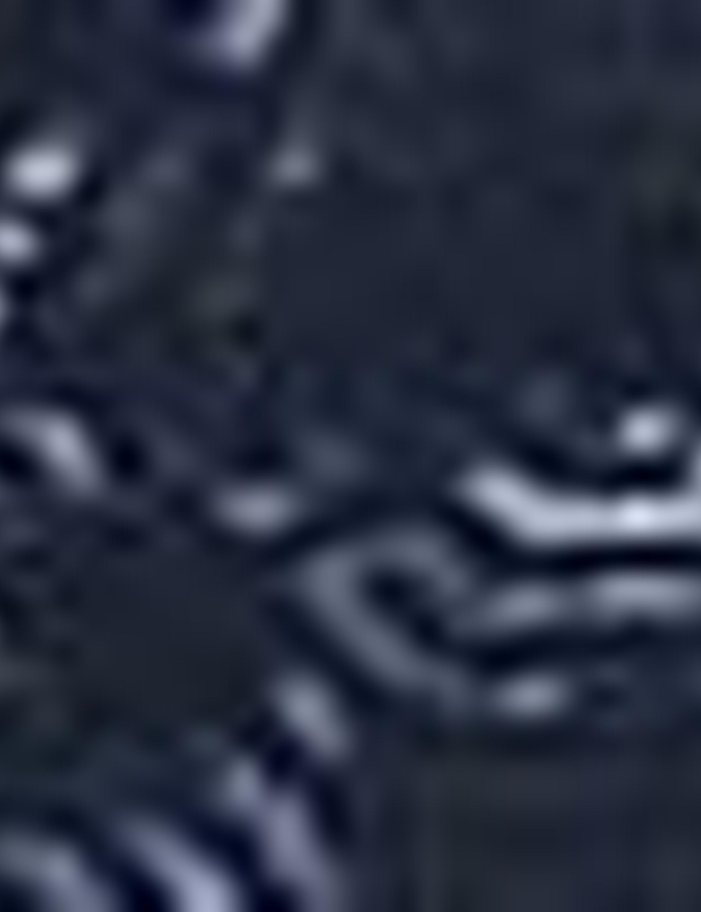 Lacivert Slim Fit Gömlek