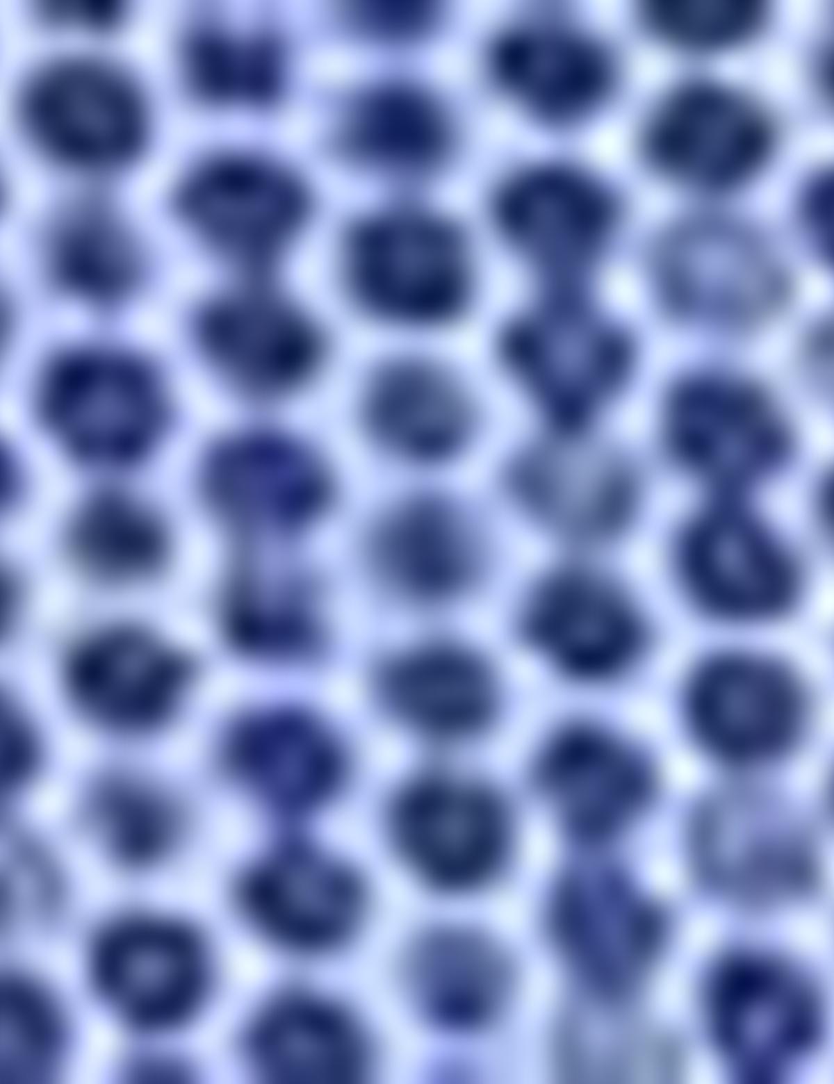 Mavi Slim Fit Uzun Kollu Gömlek - 50194061001