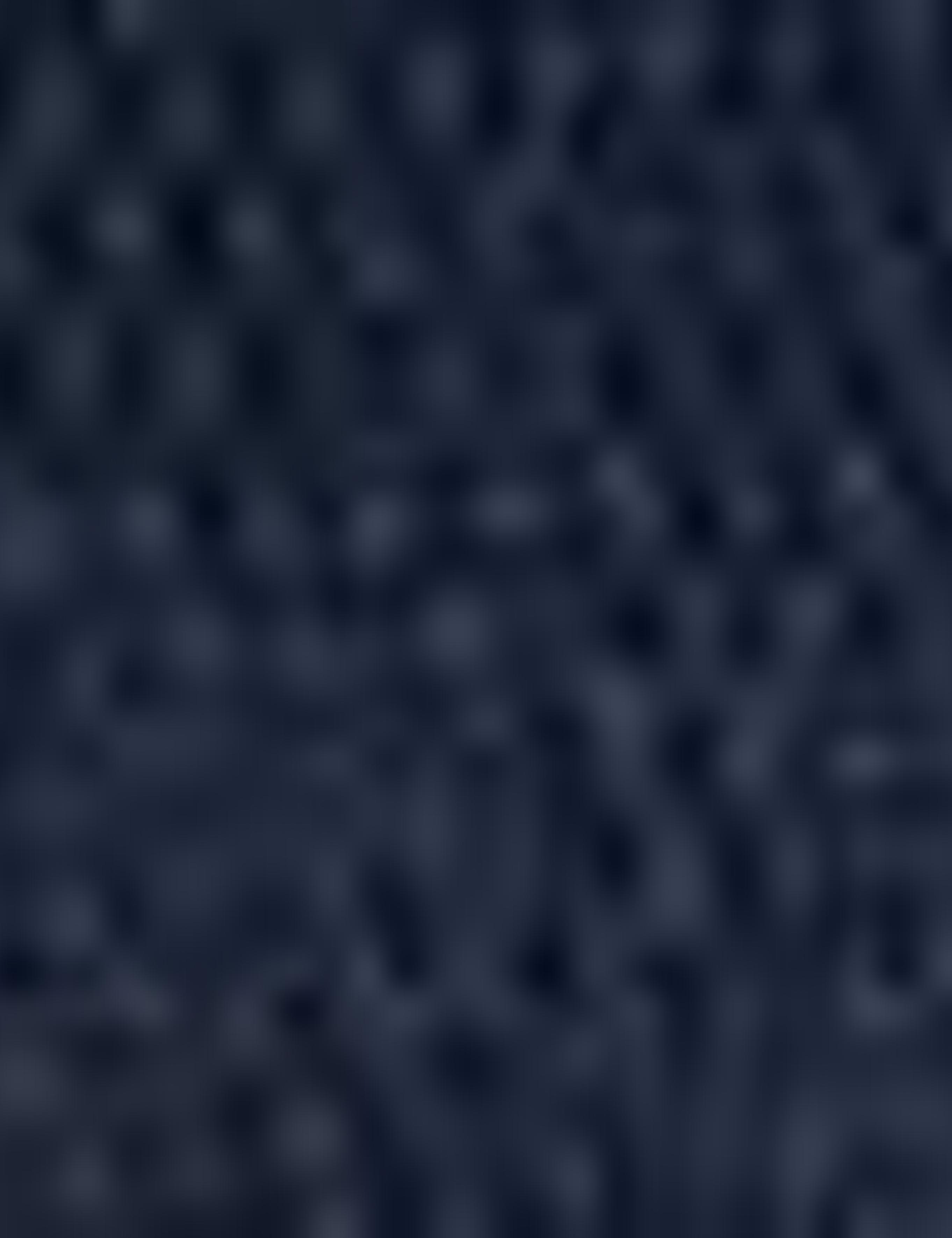 Lacivert Slim Fit Triko Kazak