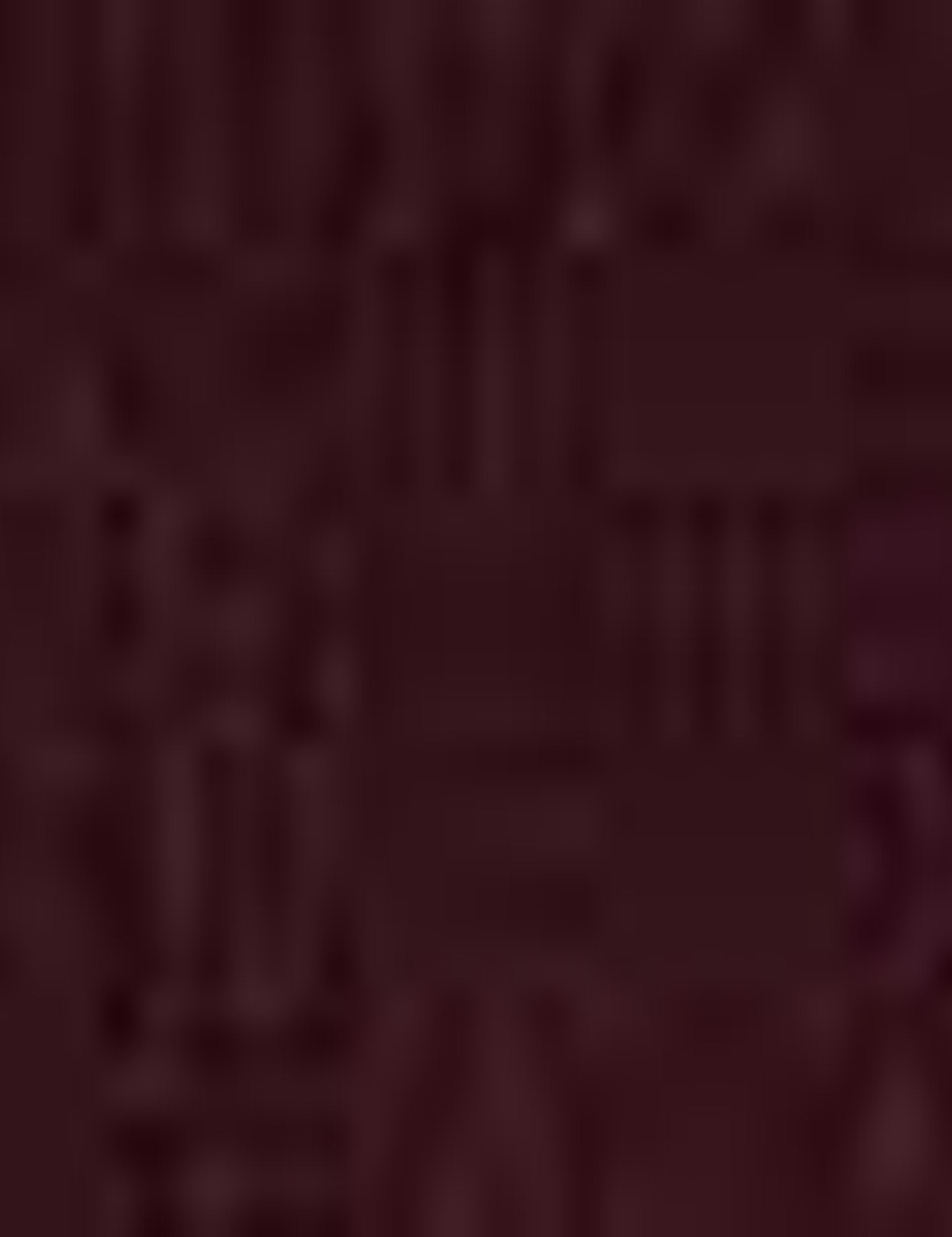 Bordo Slim Fit Kazak