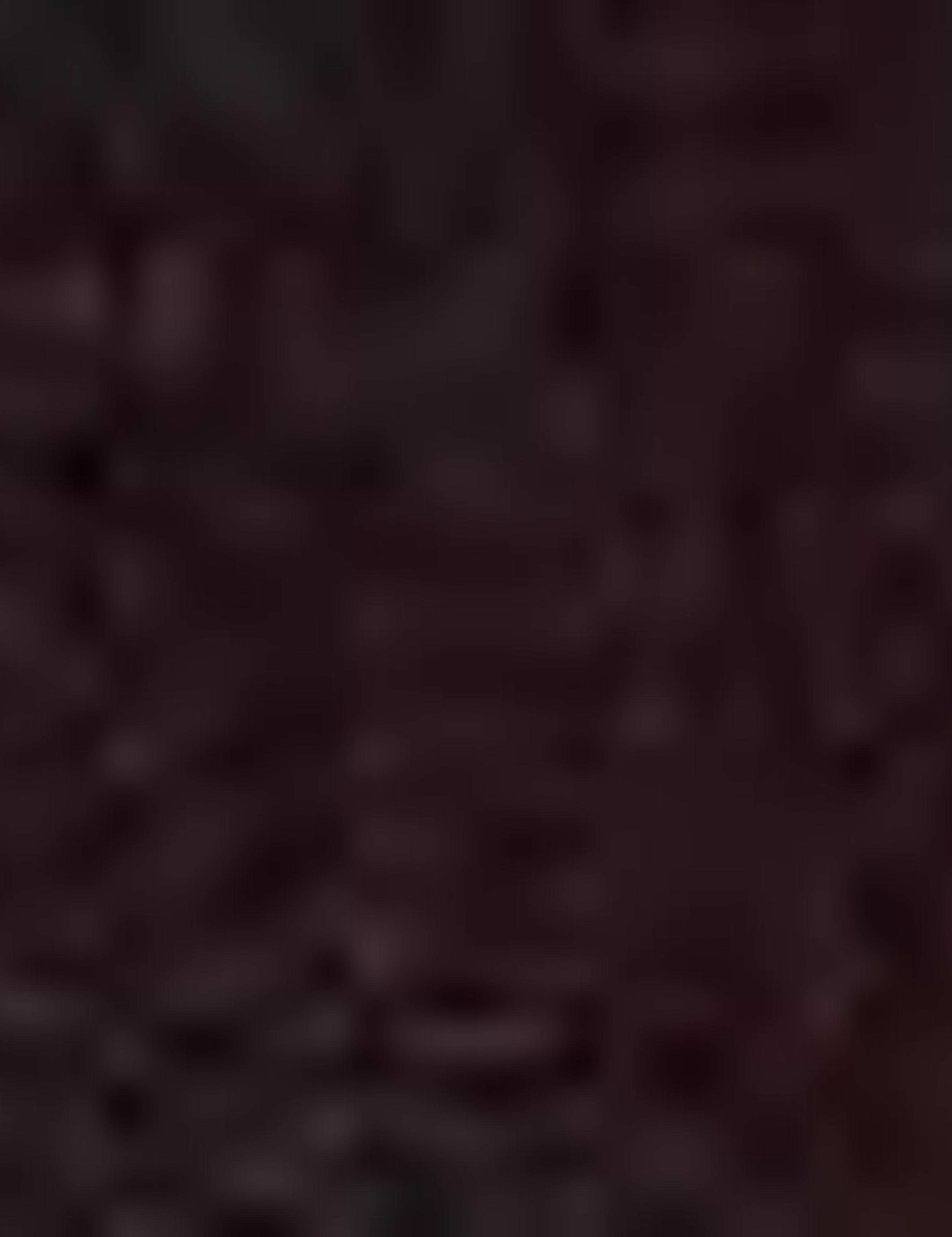 Bordo Slim Fit Triko Kazak