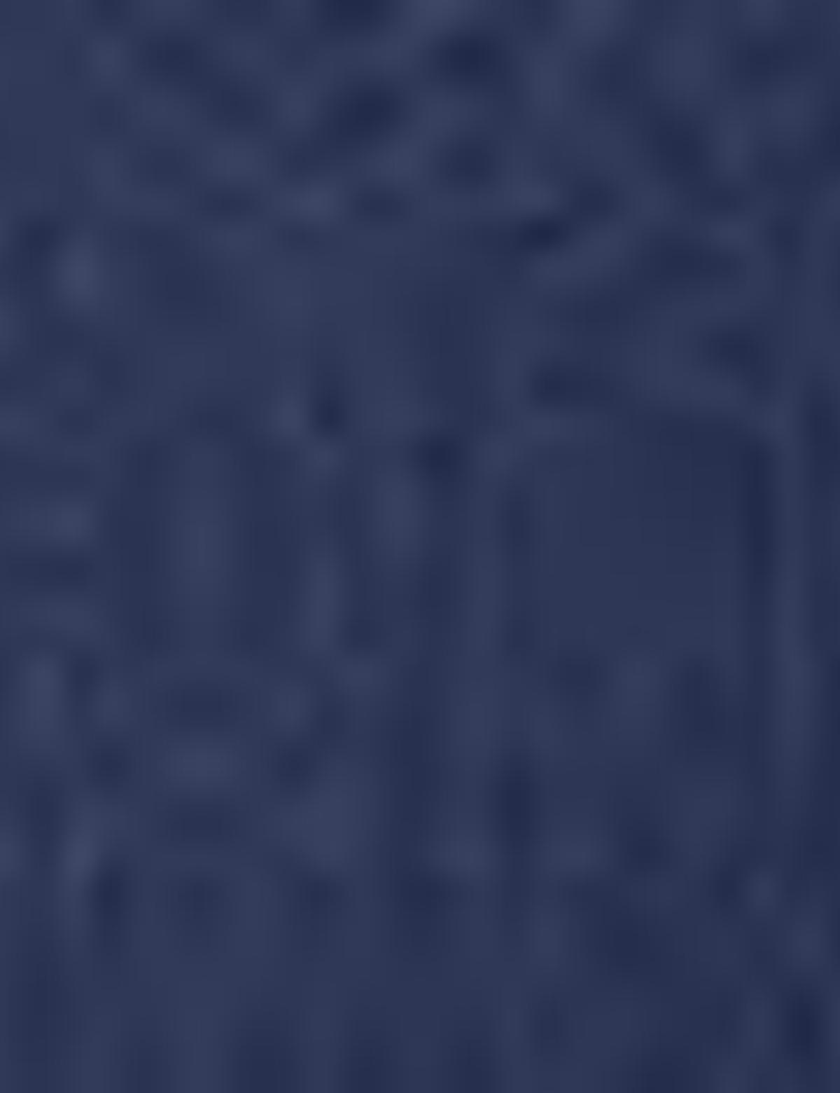 Lacivert Takım Elbise - 50194135047