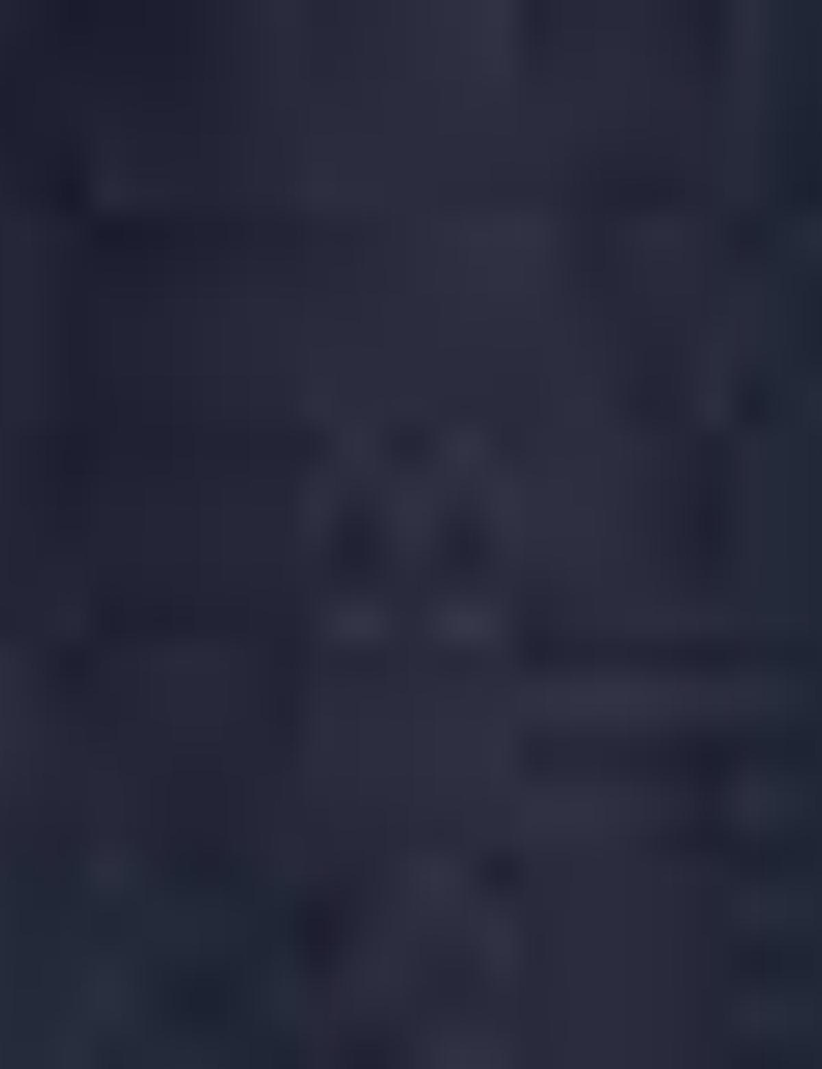 Açık Lacivert Standart Fit Kaban - 50194439021