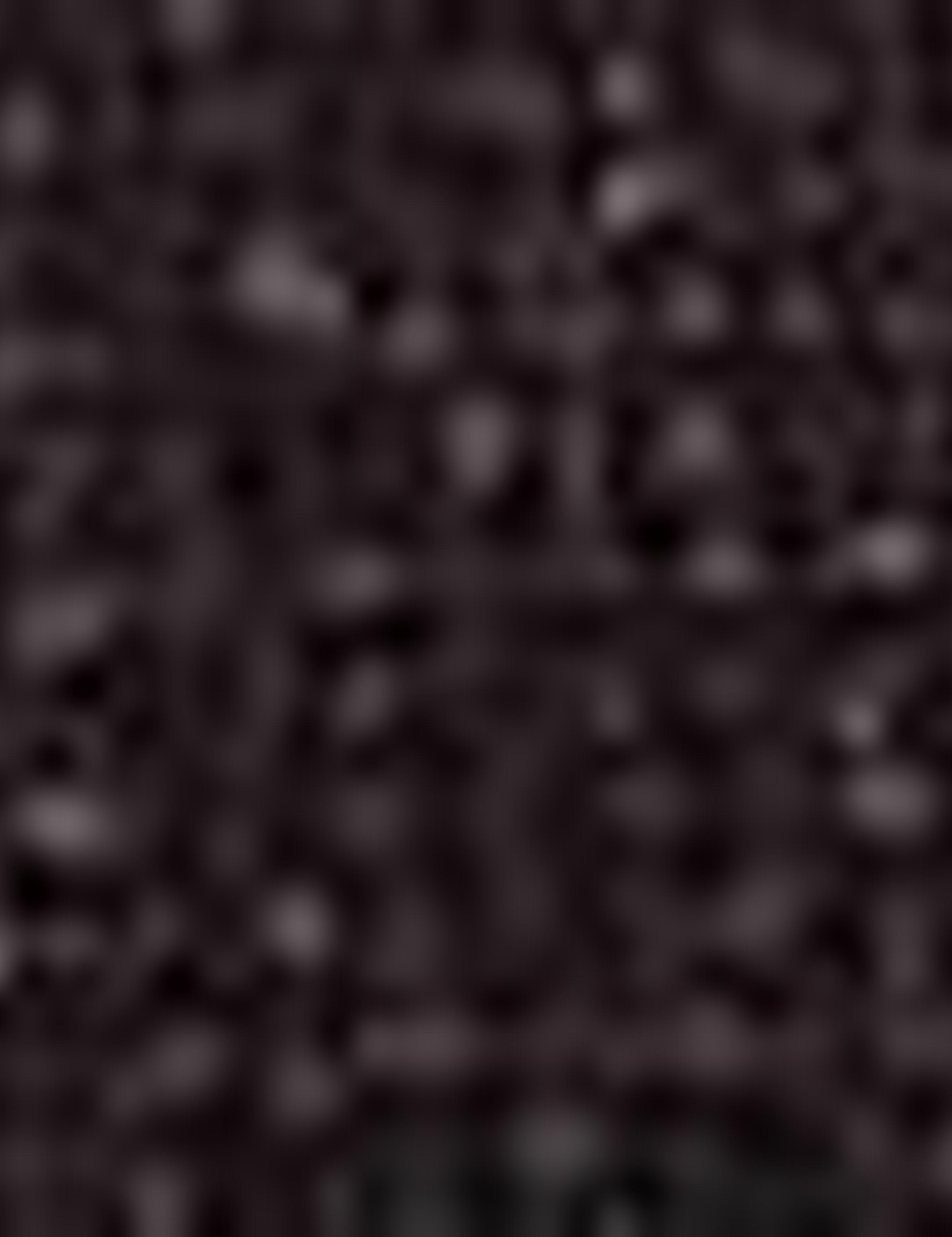 Bordo Ex. Slim Fit Ceket