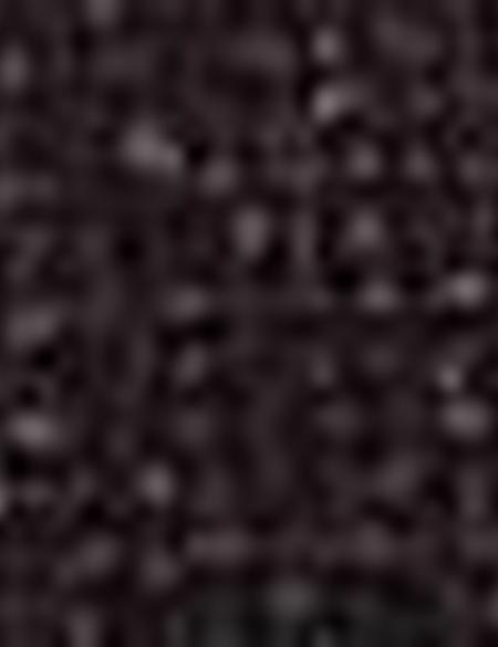 Bordo Ex. Slim Fit Ceket - 50194741119