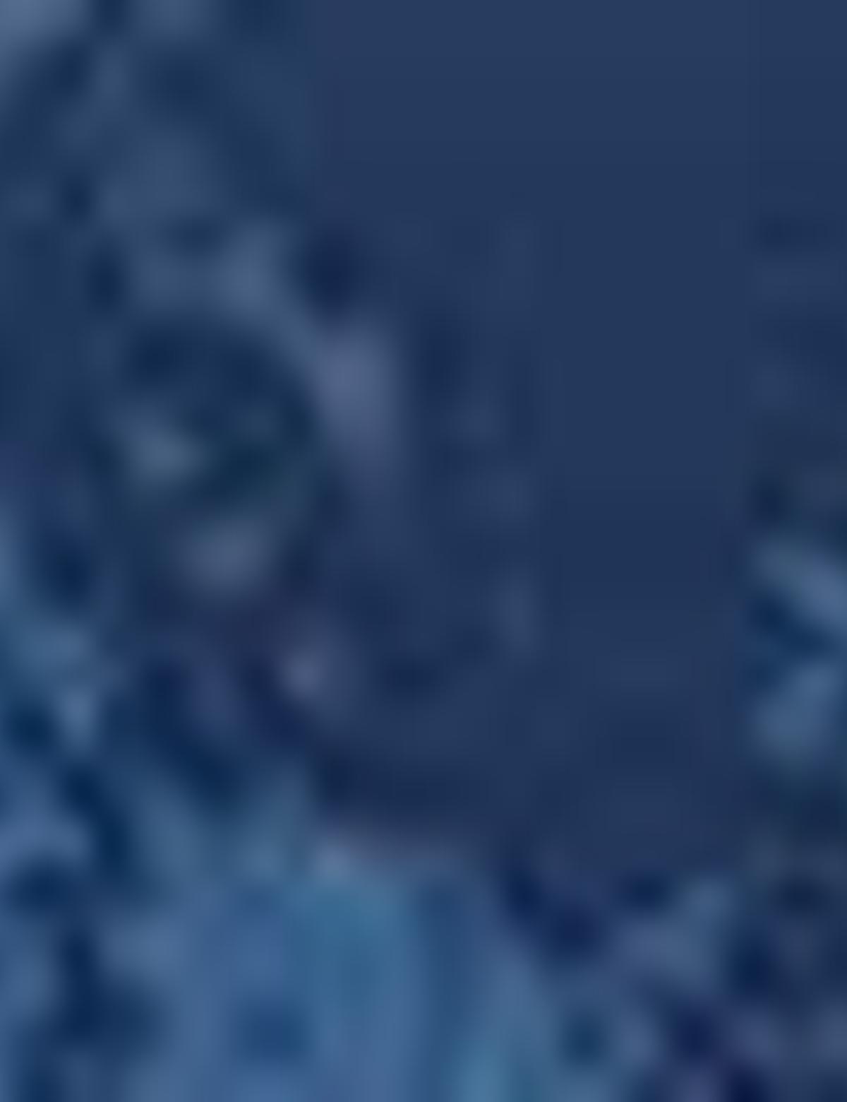 Lacivert Slim Fit Gömlek - 50194915026