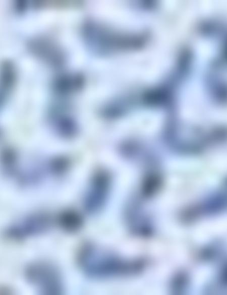 Mavi Slim Fit Gömlek - 50194920010