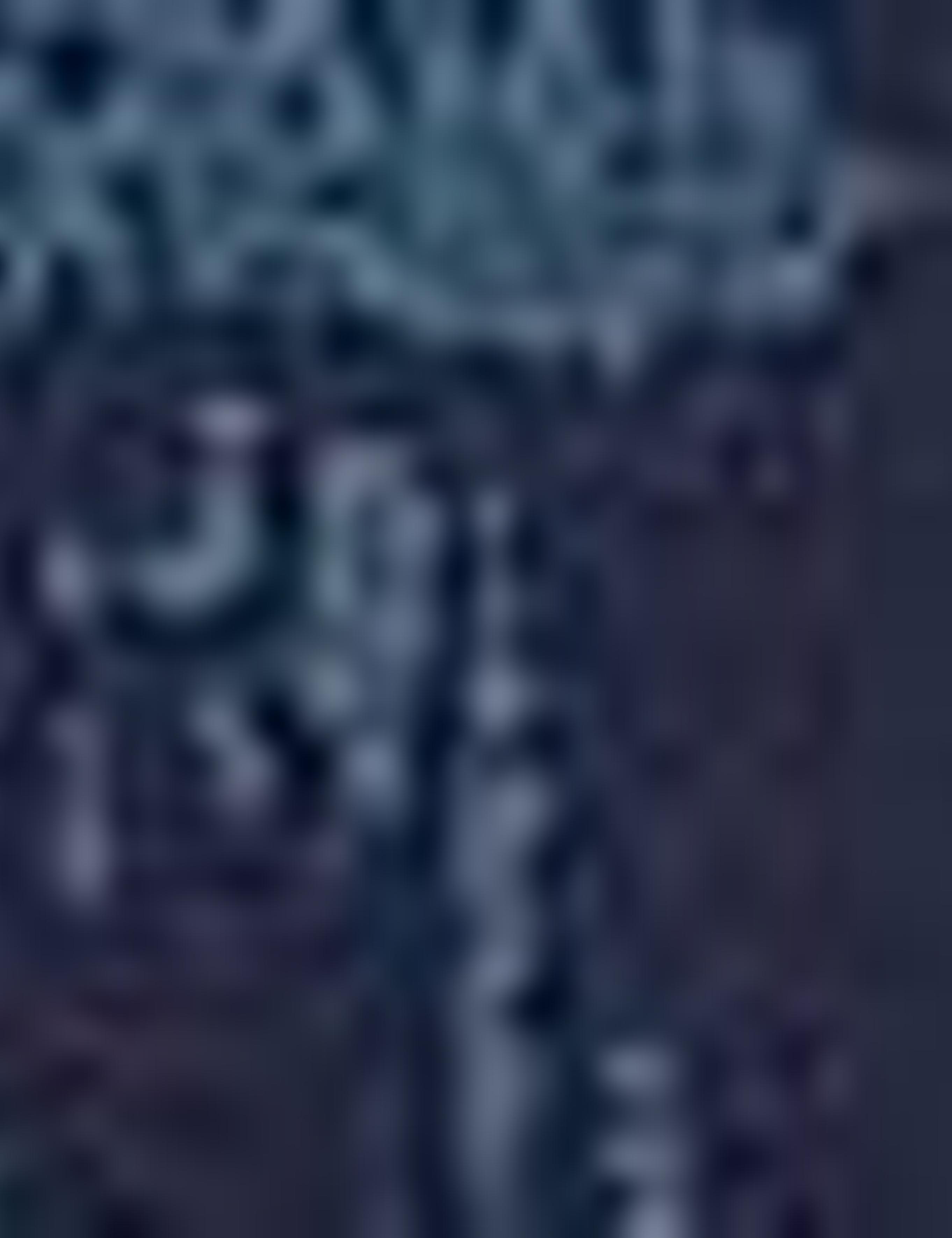 Lacivert Slim Fit T-Shirt