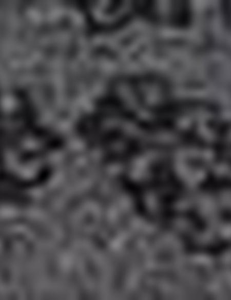 Gri Tişört - 50195156159