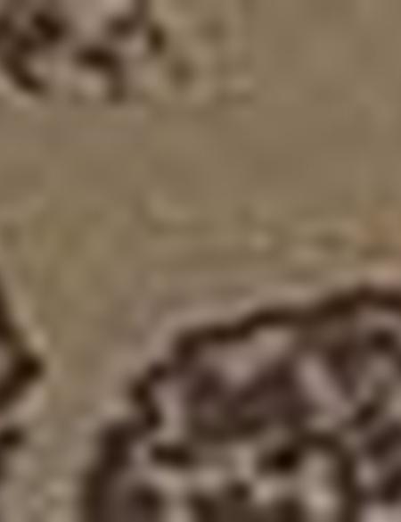 Haki Slim Fit Polo Yaka T-Shirt - 50195156177