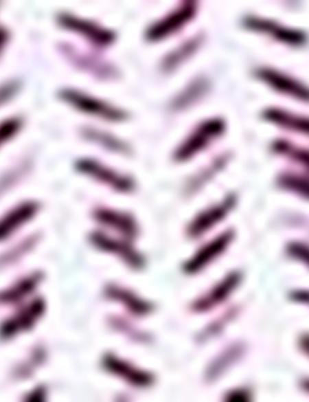 Bordo Slim Fit T-Shirt - 50195159069