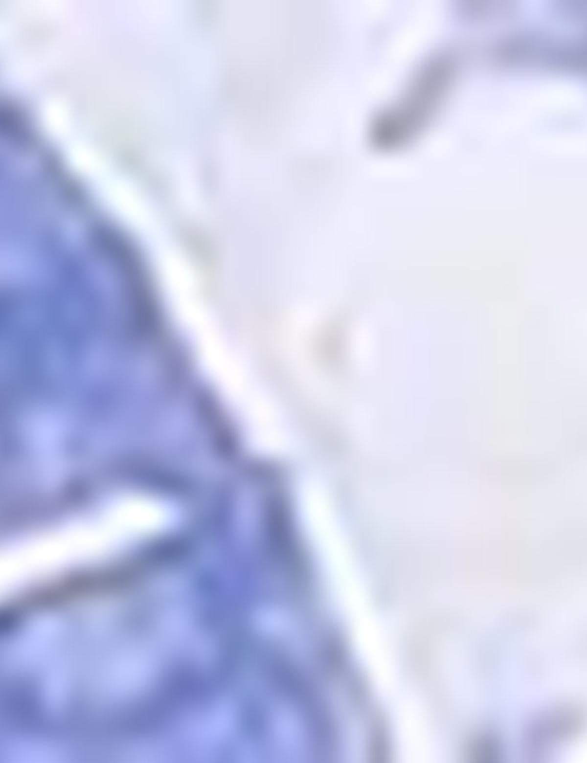 Koyu Mavi Slim Fit Tişört