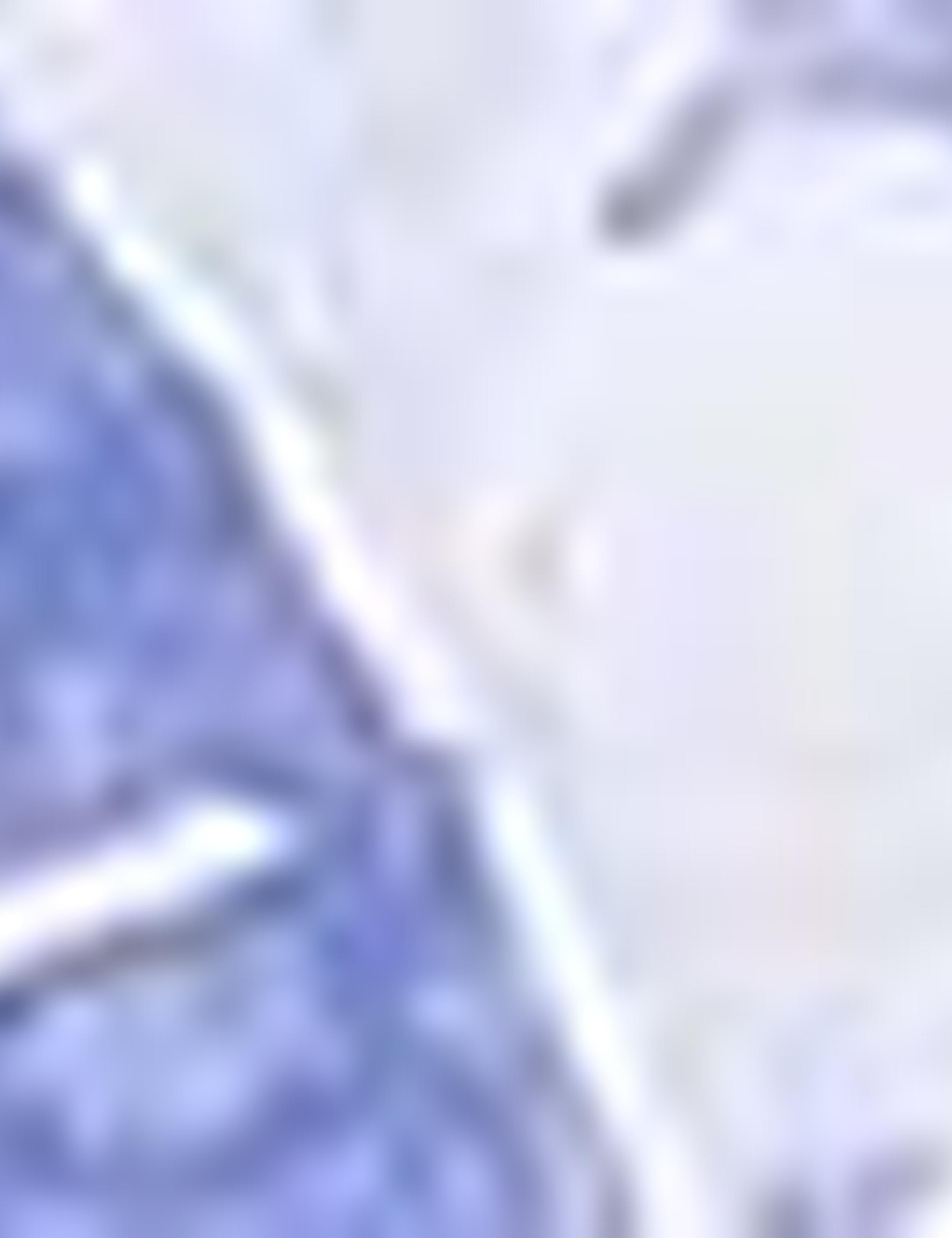 Koyu Mavi Slim Fit Tişört