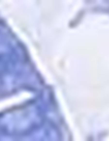 Koyu Mavi Slim Fit Tişört - 50195167160