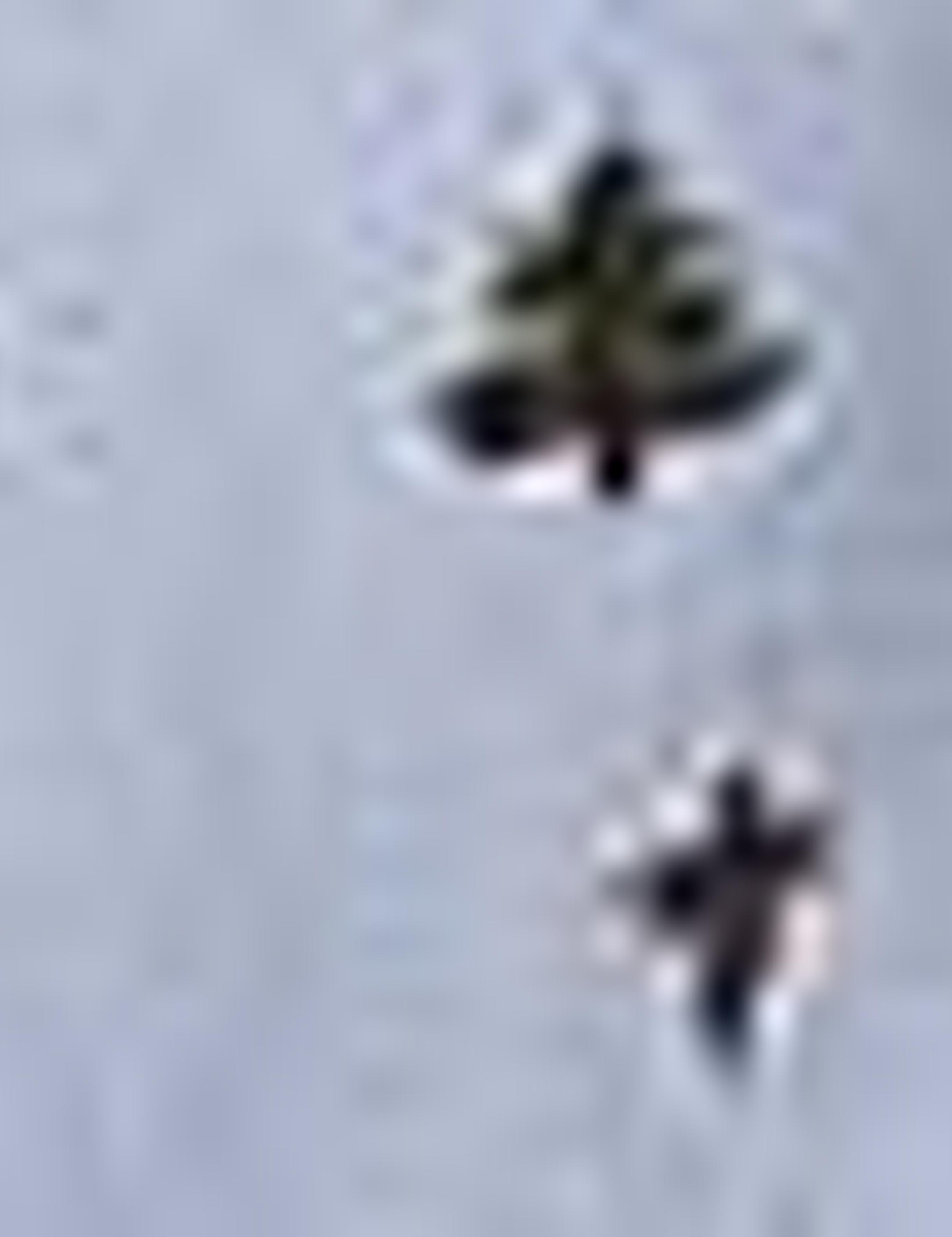 Kahverengi Slim Fit Uzun Kollu Gömlek