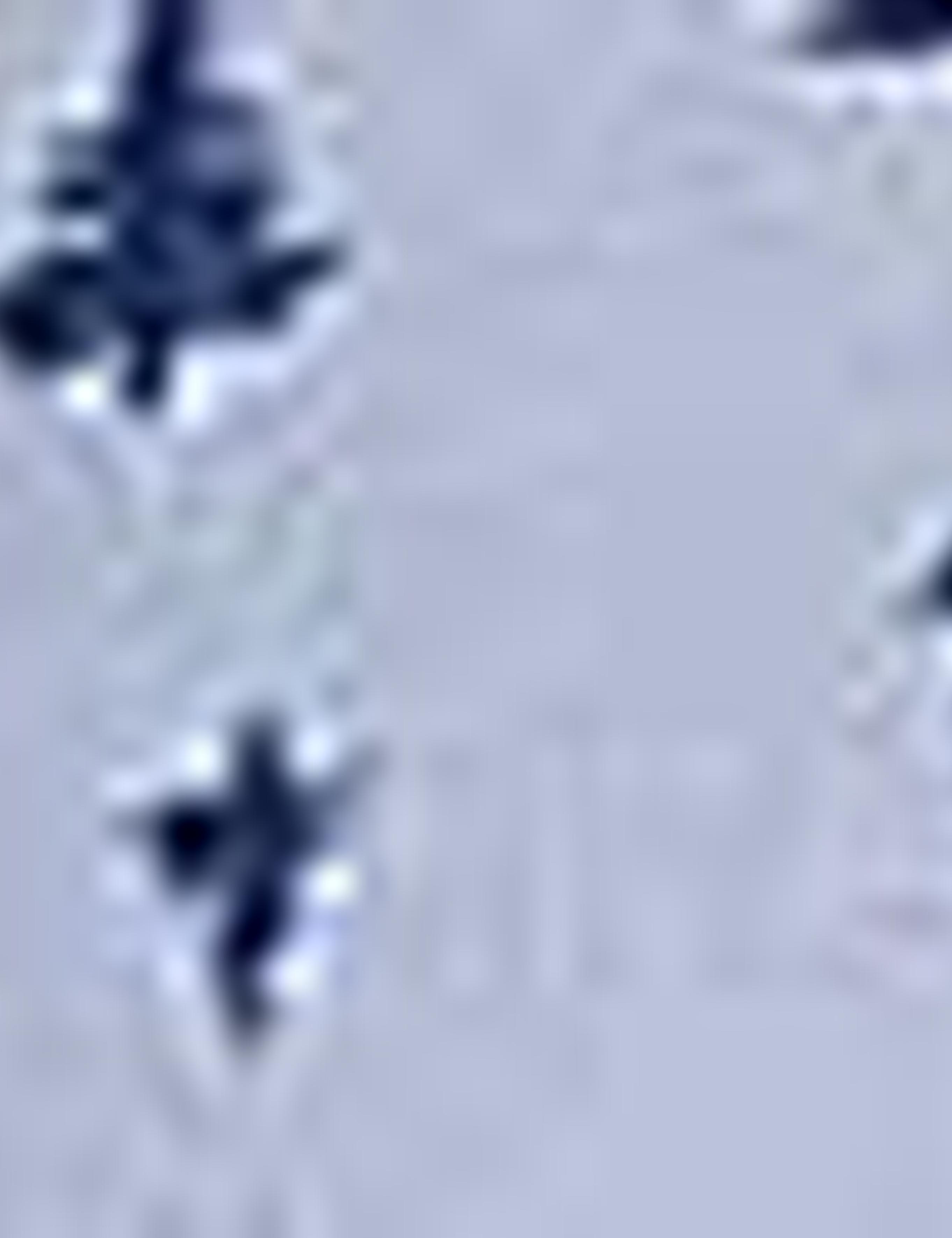 Mavi Slim Fit Gömlek