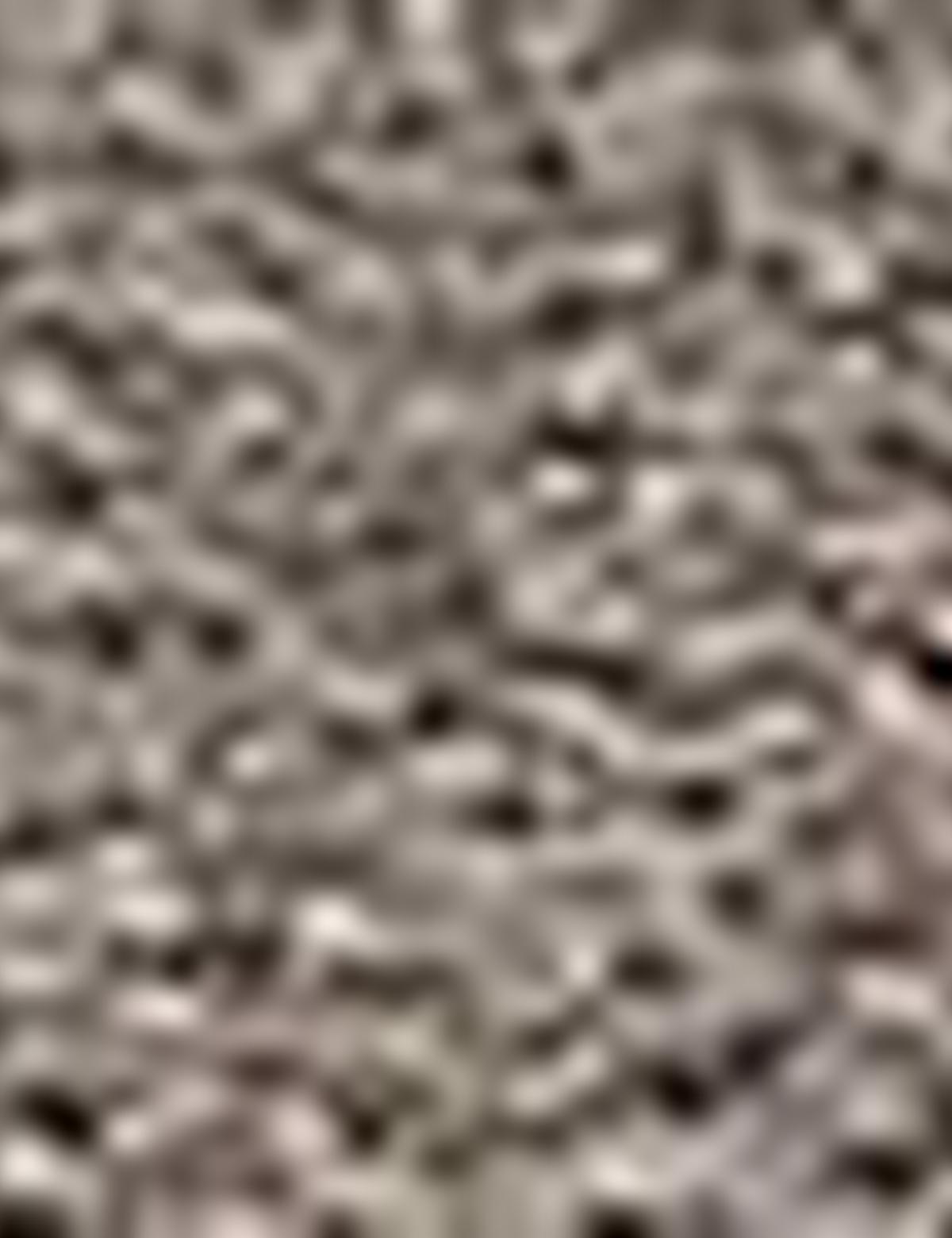 Gri Slim Fit Ayakkabı - 50195270004