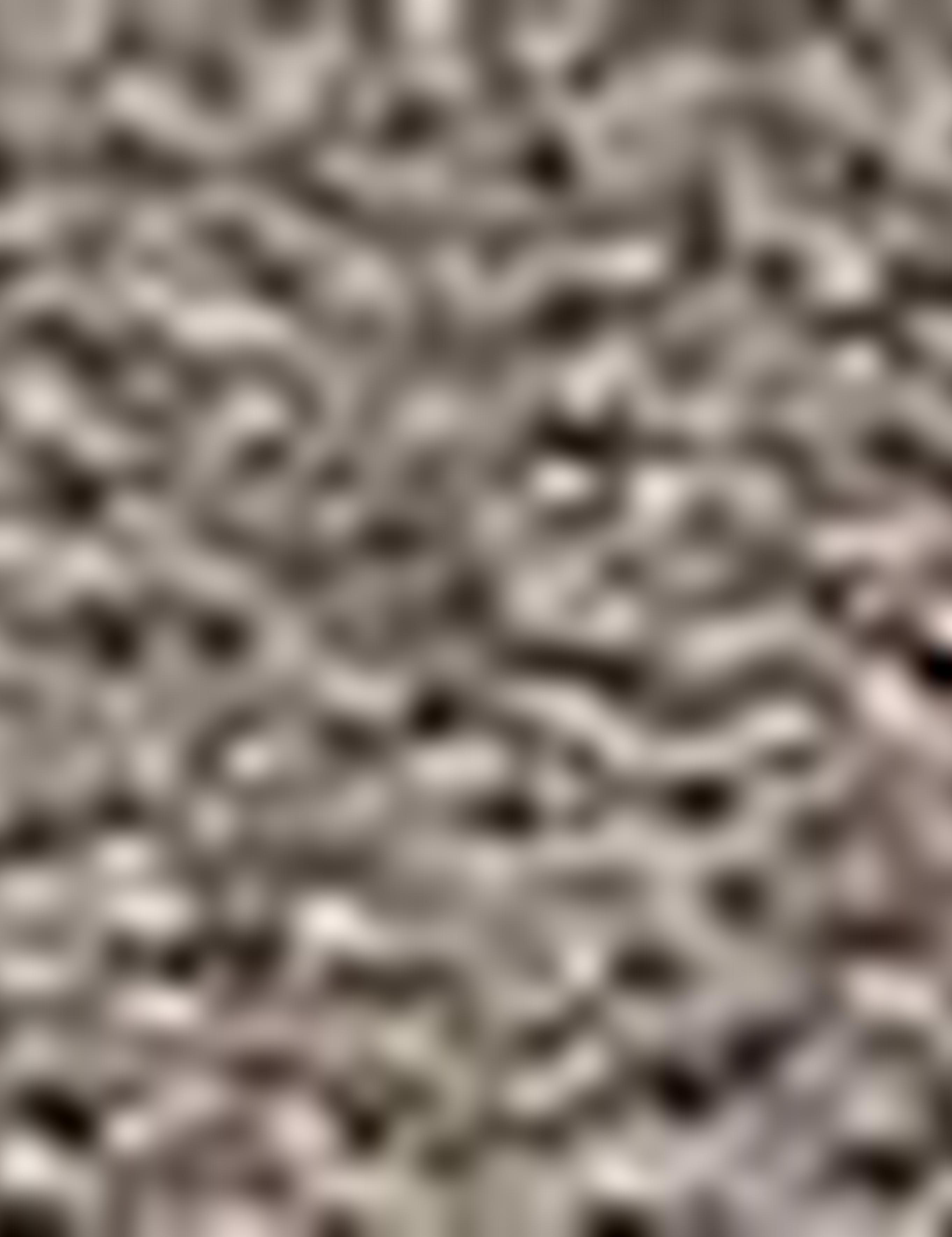 Gri Slim Fit Ayakkabı